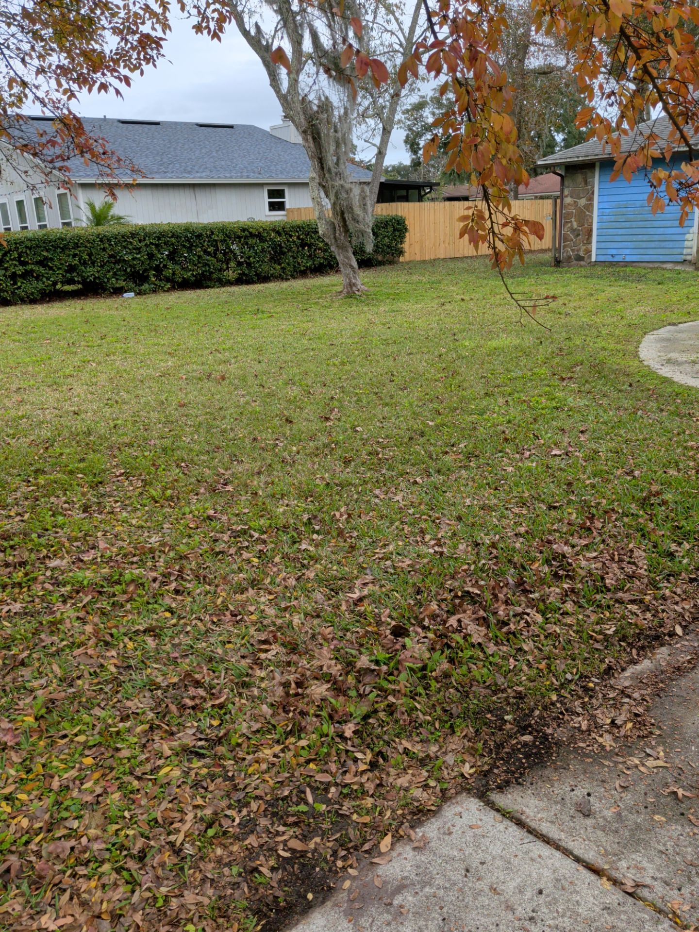 Pressure Washing/Soft Wash & Lawn Care Service — Jacksonville Beach Area by Harmoni Home Services