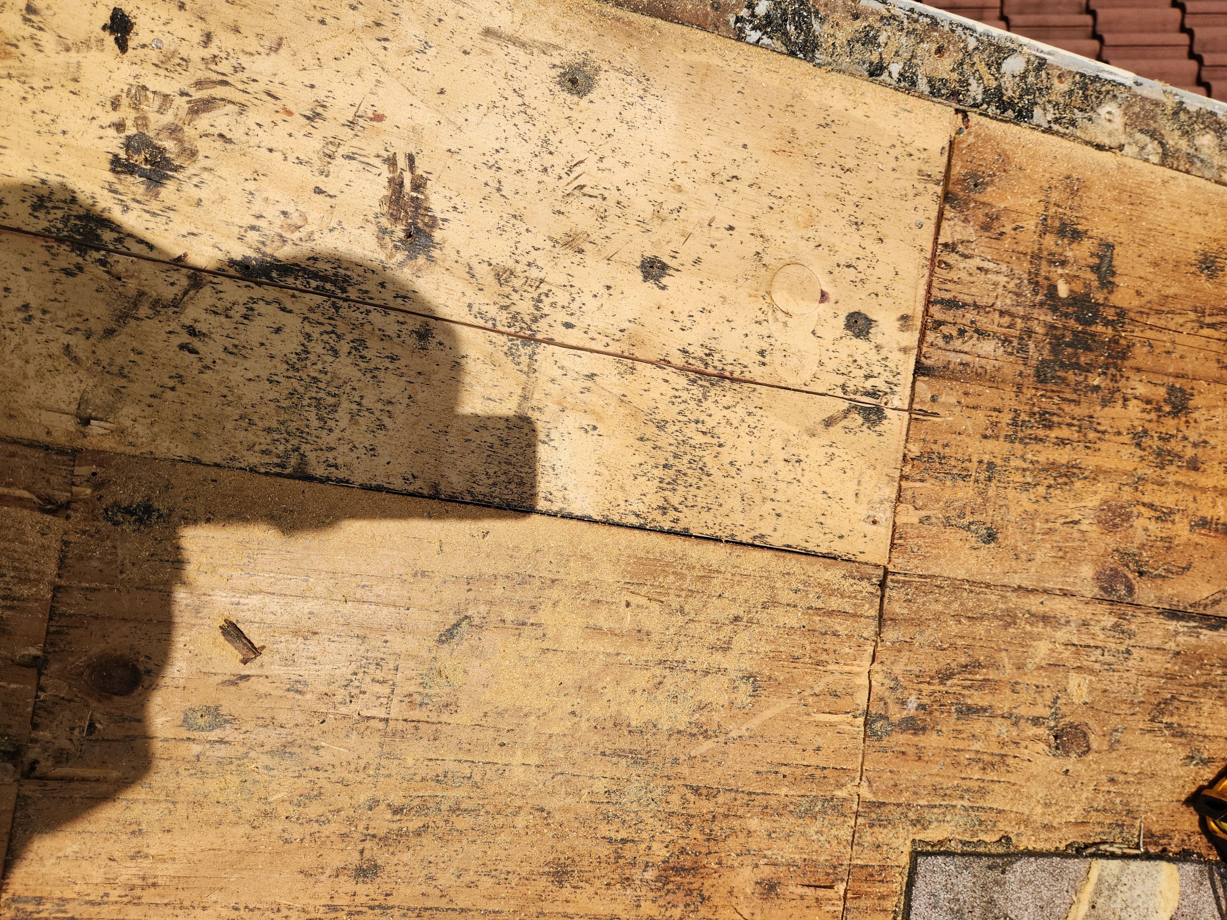 Clay Tile Roof Leak Repair and Sheathing Replacement in Hollywood by Aastro Roofing
