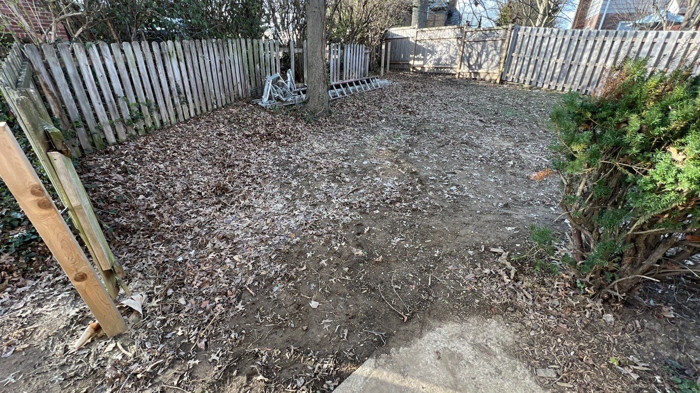 Rear Yard Turf Restoration by Reisenberg’s Lawn & Landscape, LLC