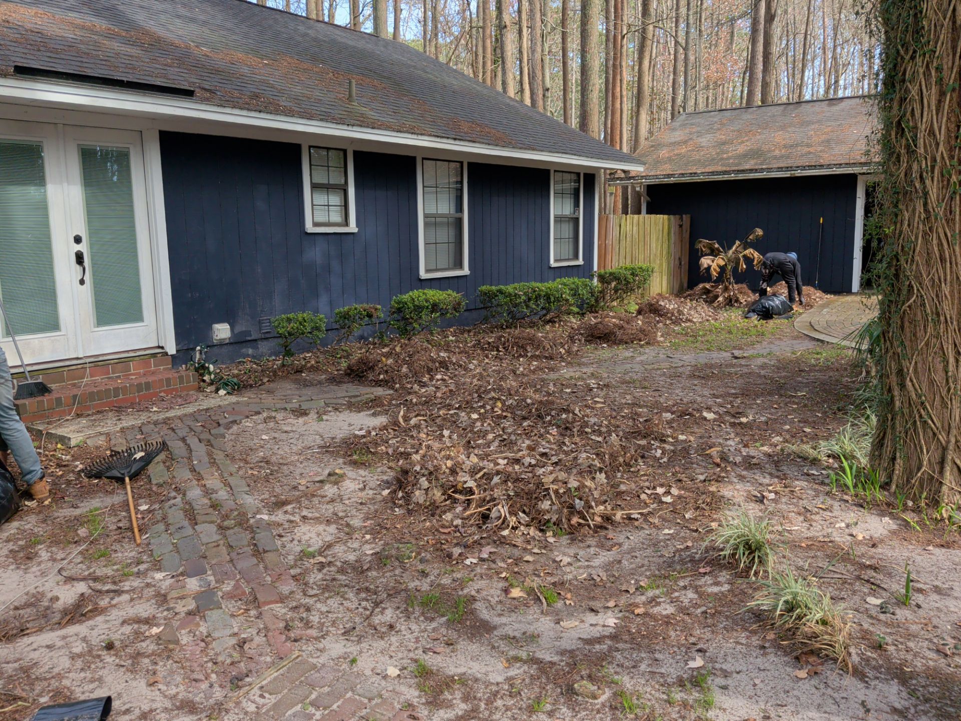 Large-Scale Leaf Removal & Property Cleanup — Jacksonville, FL (Southside Area) by Harmoni Home Services