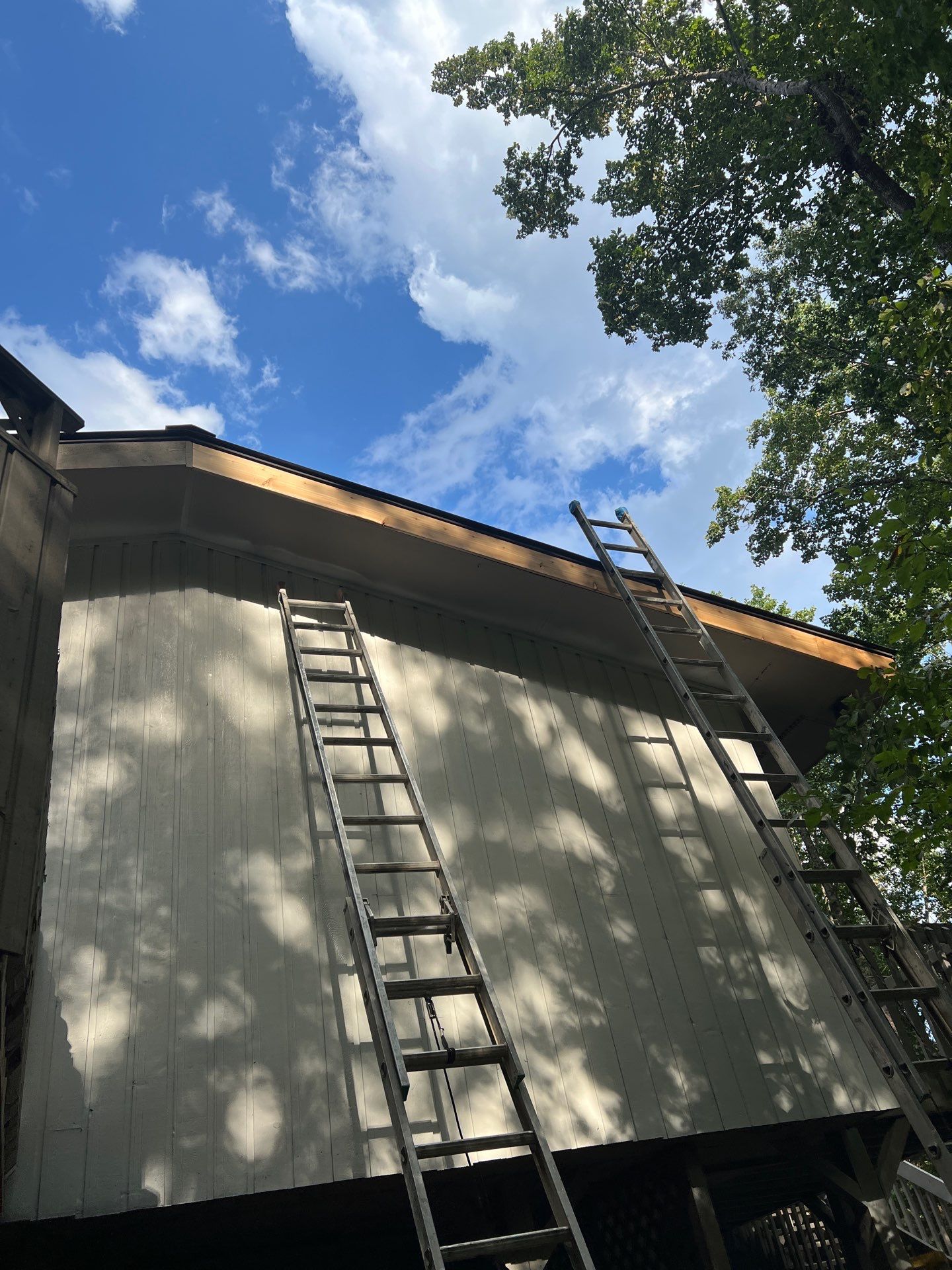 Complete exterior refresh with carpentry repairs by GonzalezPainters & Contractors Inc