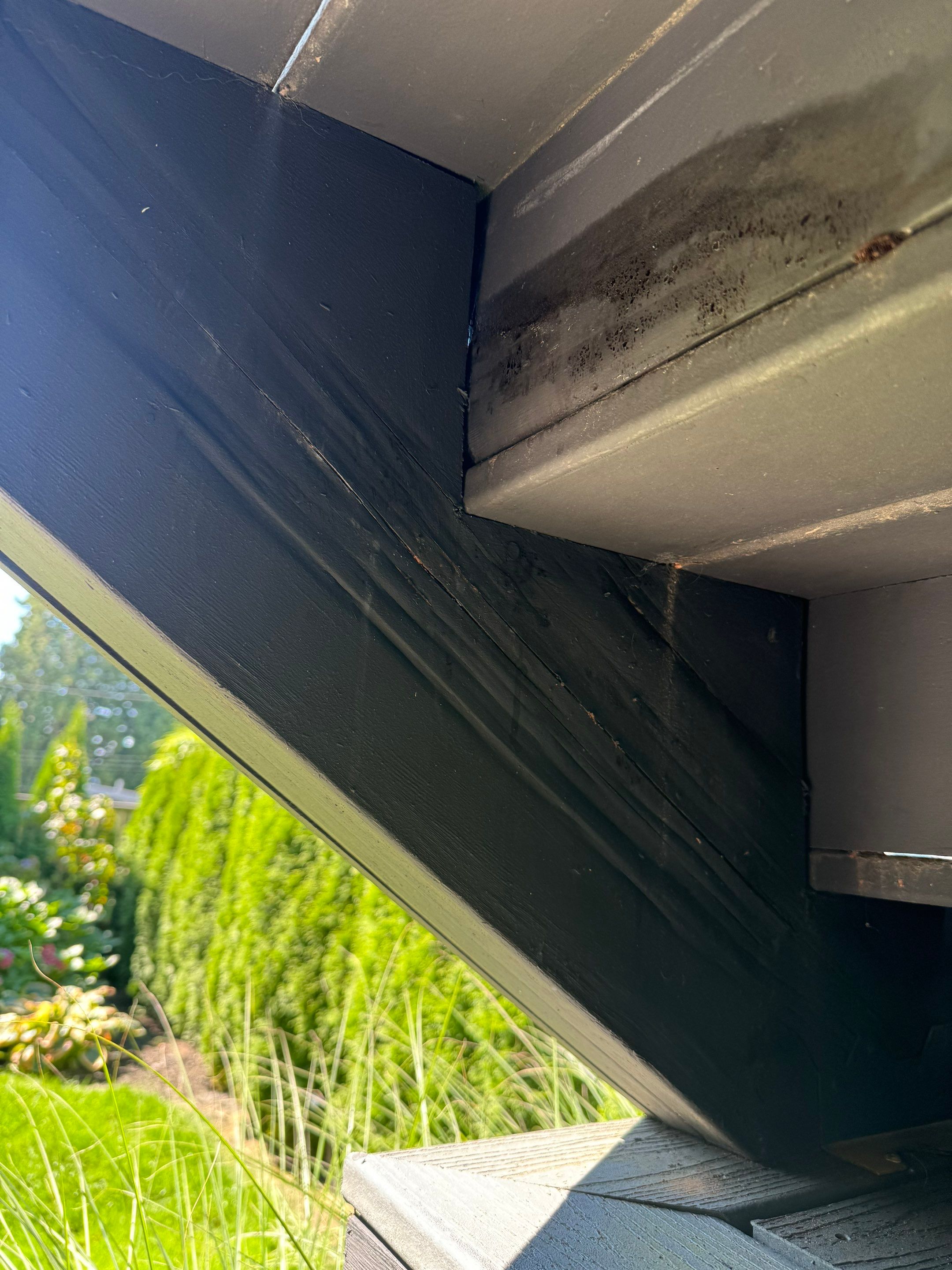 Rotten Riser Board  by YVR Construction Group