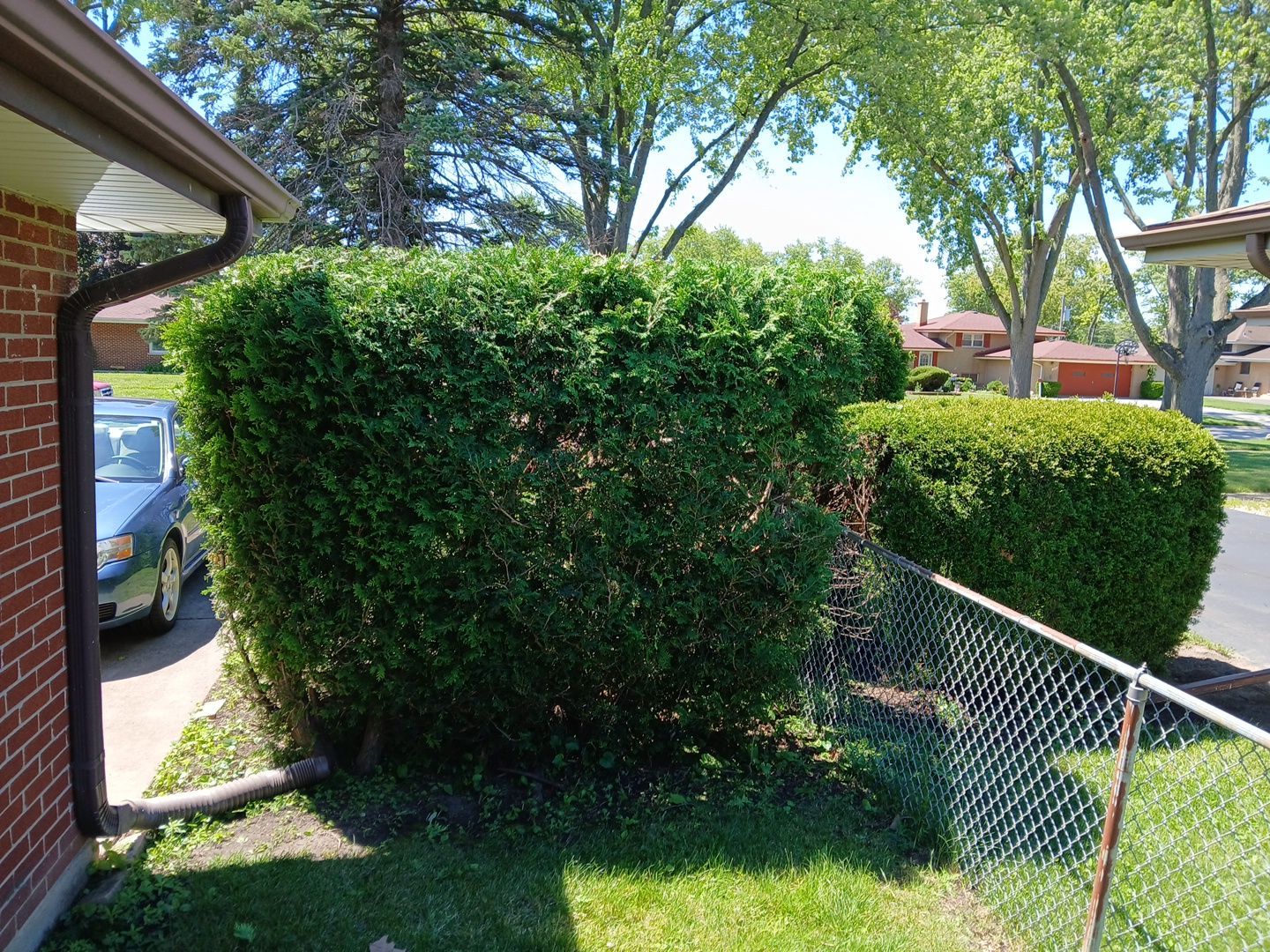 Martha C. - Mount Prospect, IL by A&N 