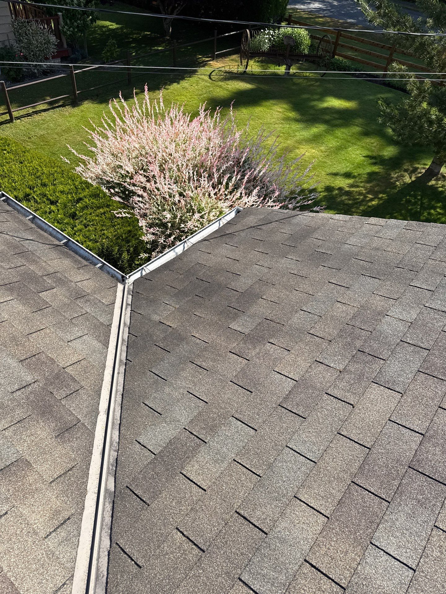 Residential Reroof Shingle - Barkwood by Top Notch Roofing Inc