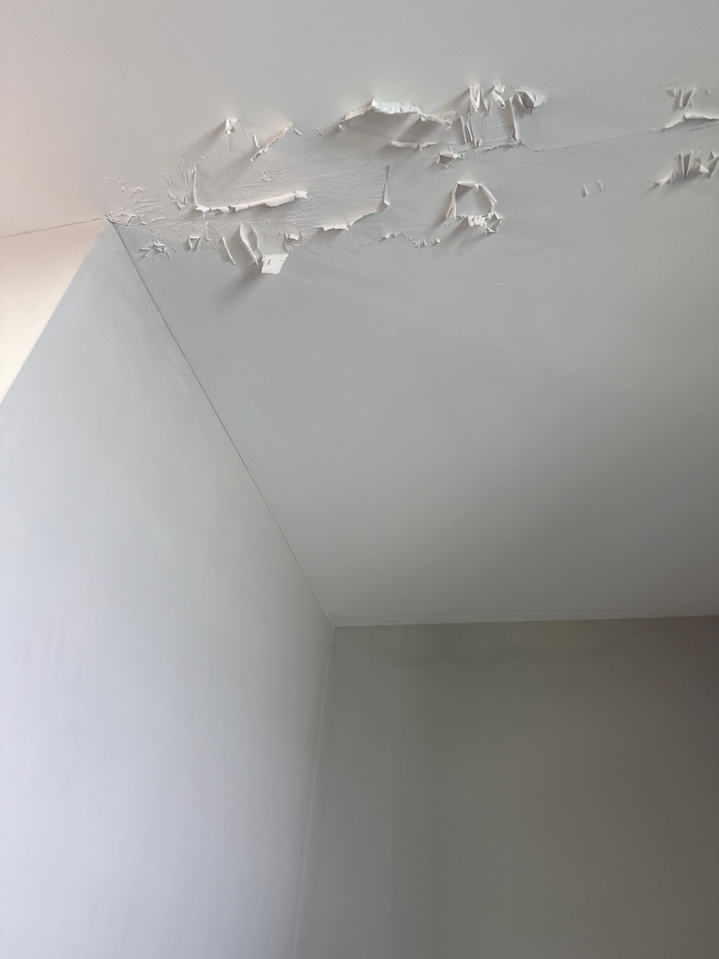 Roof replacement by wind damage by Just Brilliant Restoration JBR