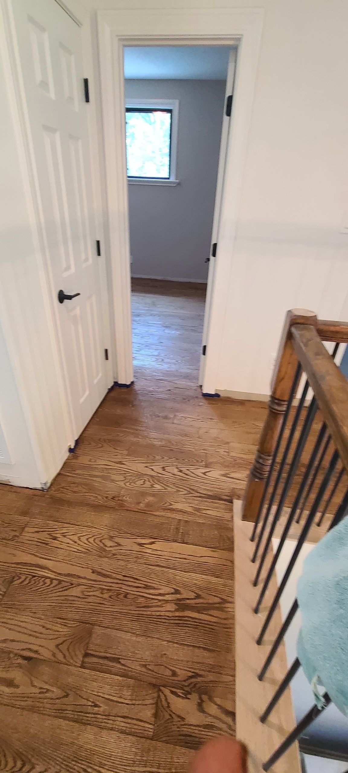 The Napolitano Family by SophAlx LLC