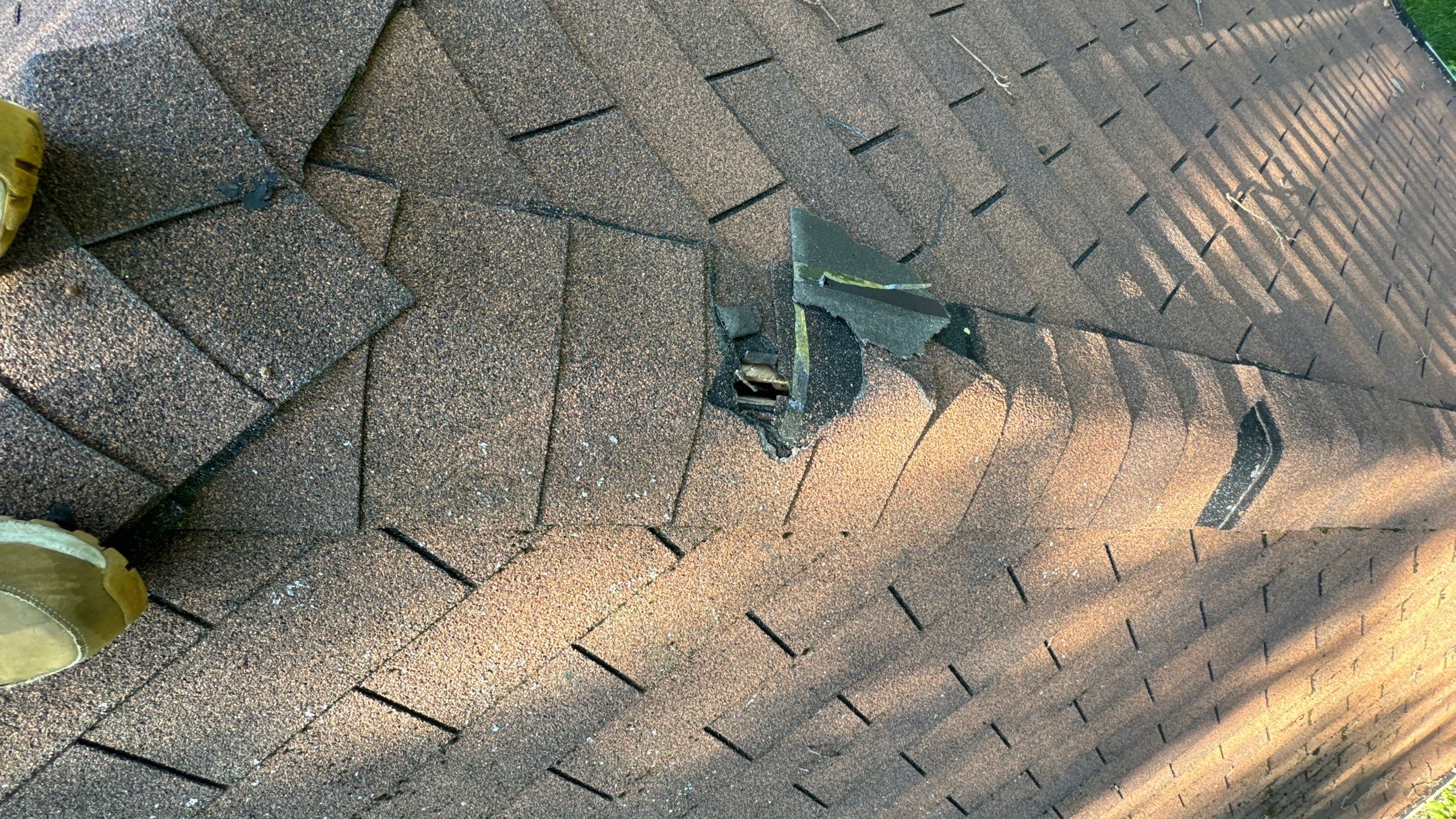 Roof Replacement using Owens Corning Summer Harvest by 180 Contractors