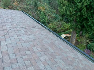 Gutter Cleaning 