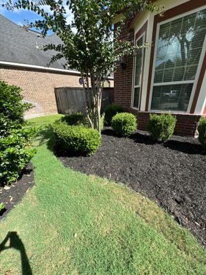 🌿🏡 Project Spotlight: Front Yard Curb Appeal Rescue for Mr. B. Khara