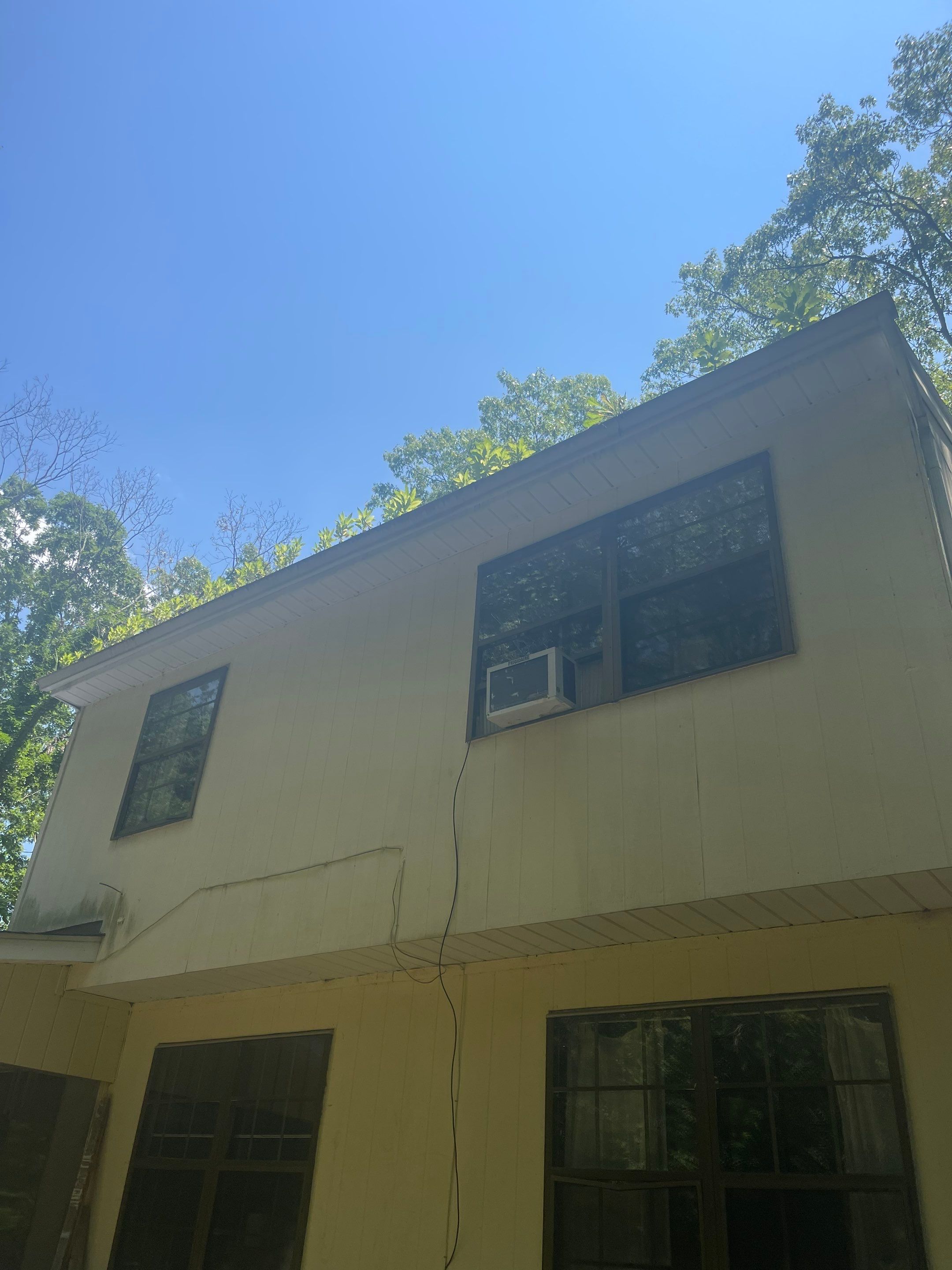 Residential Cleaning using Carbon Fiber Polls & Blower by SJ Exterior