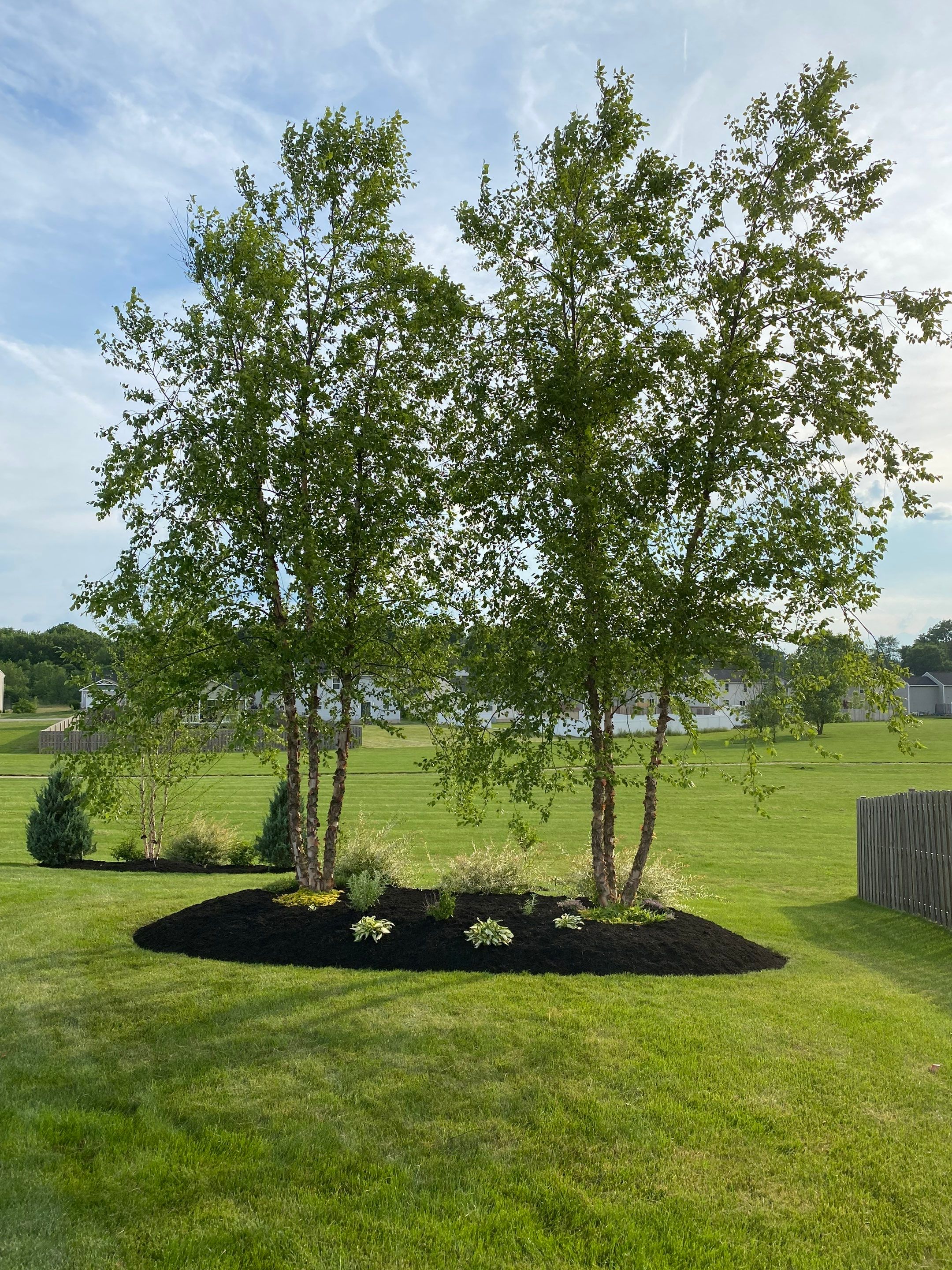 Chippewa Lake Project by Elm Rose Gardens