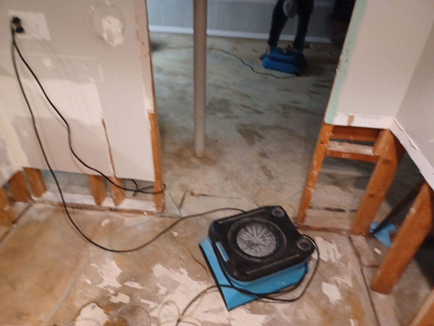 Project in Westland by EzDry Water Mitigation & Property Restoration