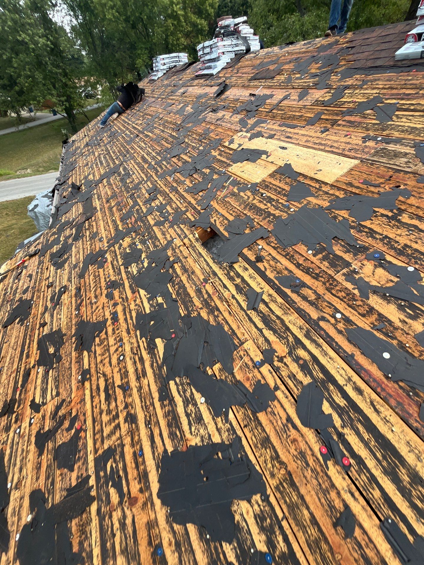 Residential Roofing + Gutters & Downspouts Install  by Titan Commercial & Residential Roofing 