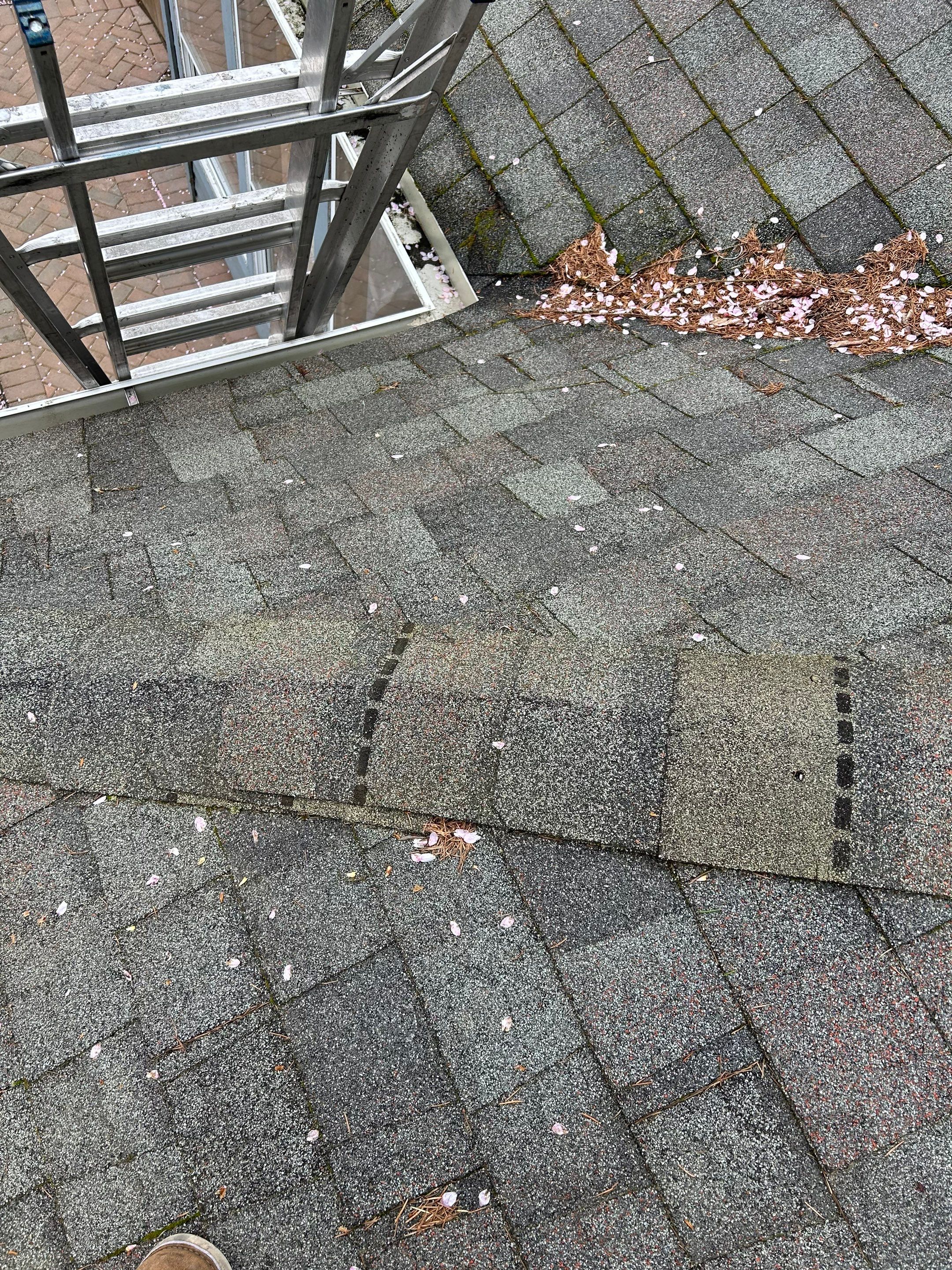 Project in Redmond by Connolly Construction Company