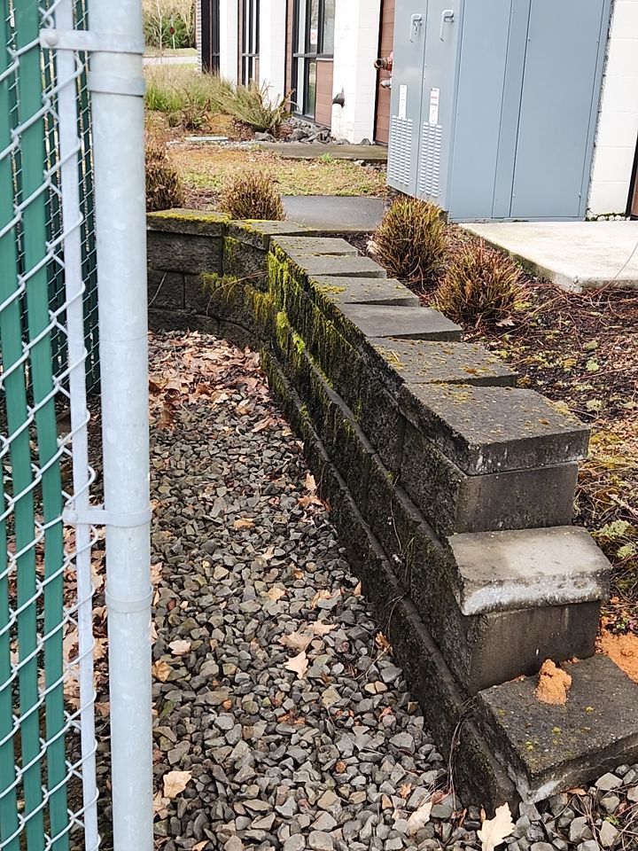 Soft Wash using Soft wash solution by Willamette Outdoor Wash LLC
