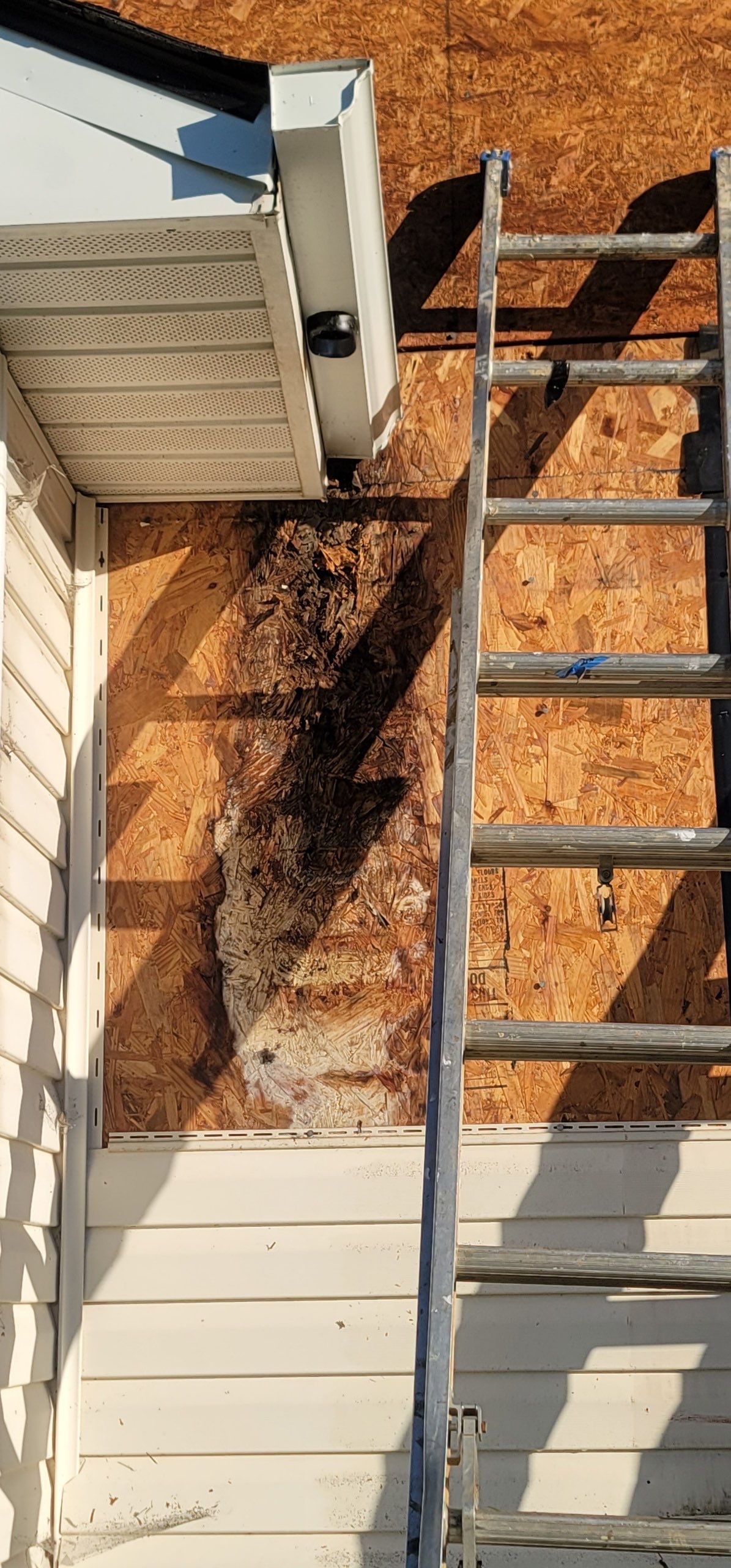 Roof replacement, siding, interior and gutter repair by hail damage by Just Brilliant Restoration JBR