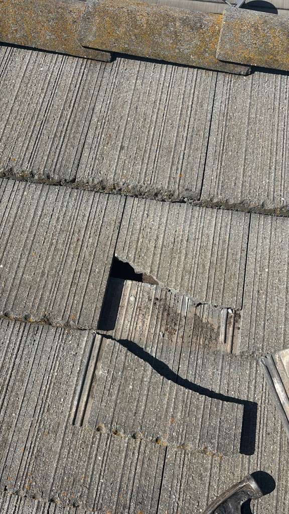 Project in Elk Grove  by NuLead Construction Inc