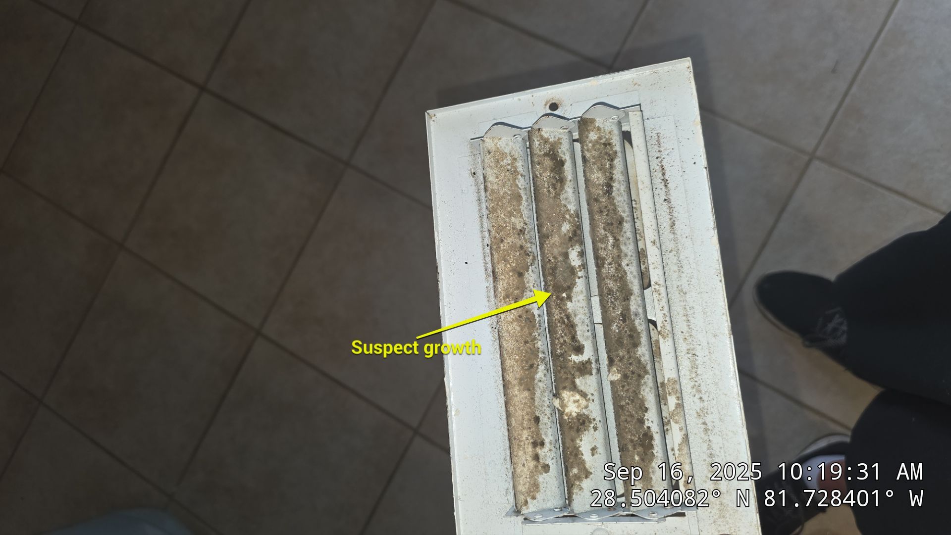 Boot Repair, Air Duct and Dryer Vent Cleaning in Clermont by Hygienic Air, Inc