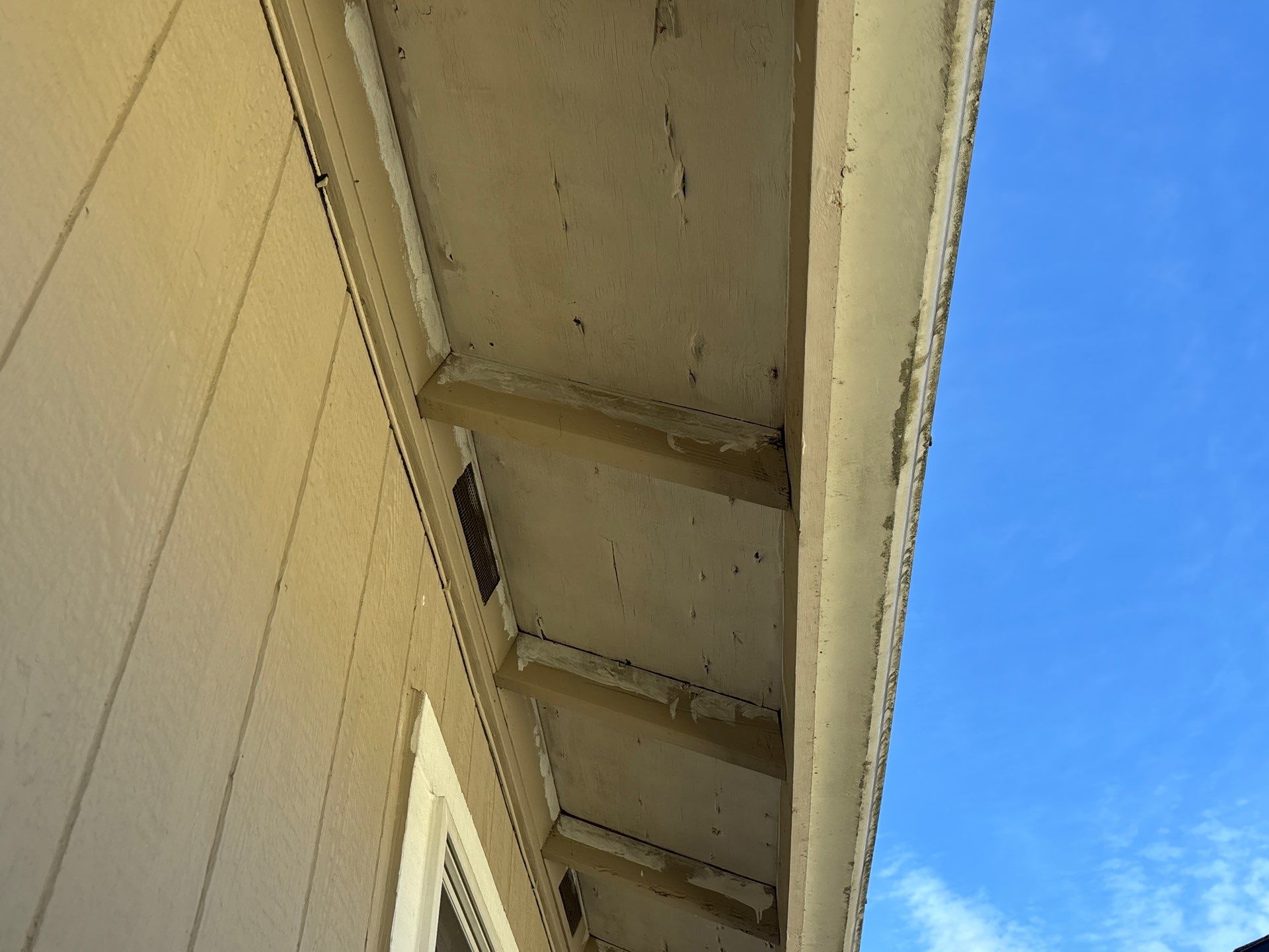 Asset Roofing Company featured photo.