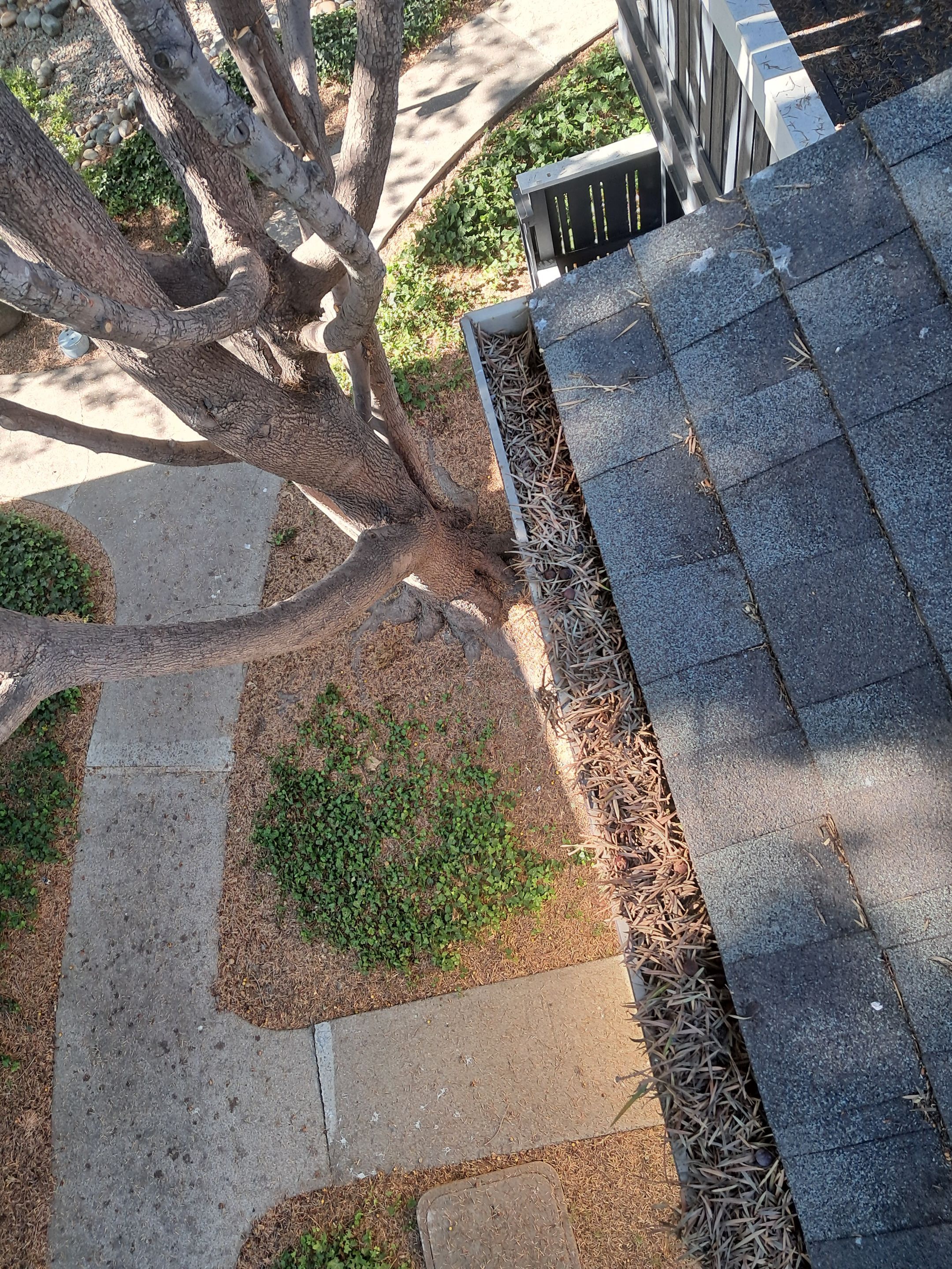 Commercial gutter cleaning San Francisco, CA before photo with filled gutters