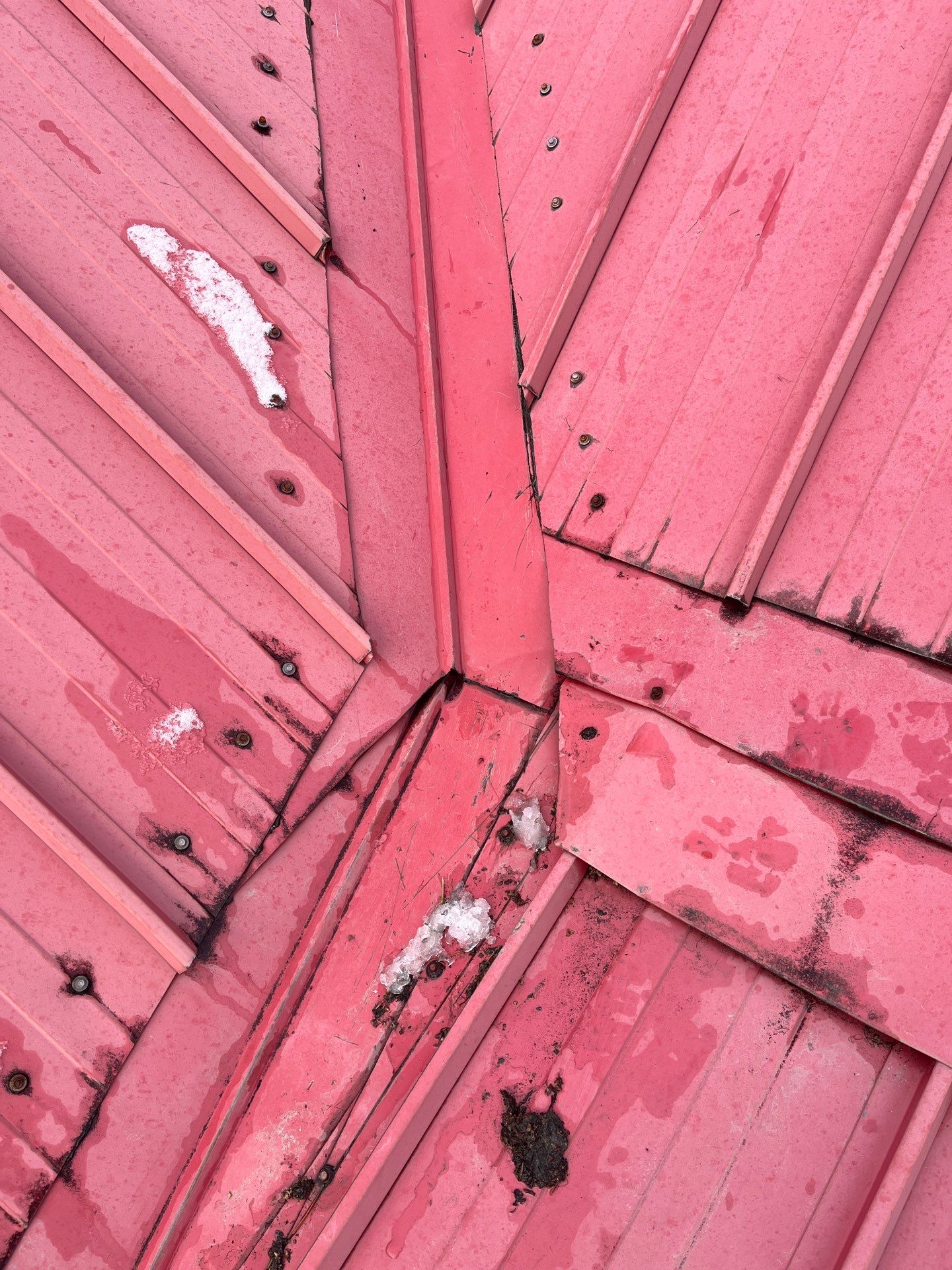 Steel Roofing by Mainline Roofing Co. Ltd.
