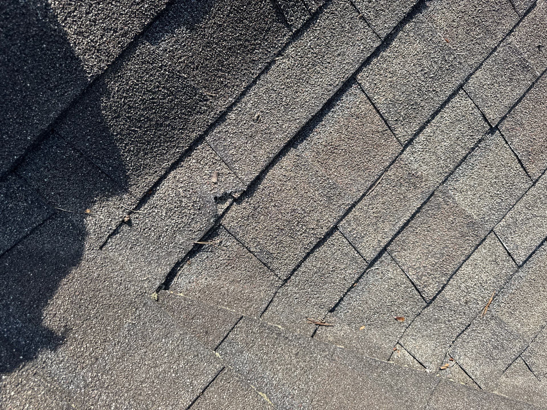 The Finocchios by United Contracting and Roofing