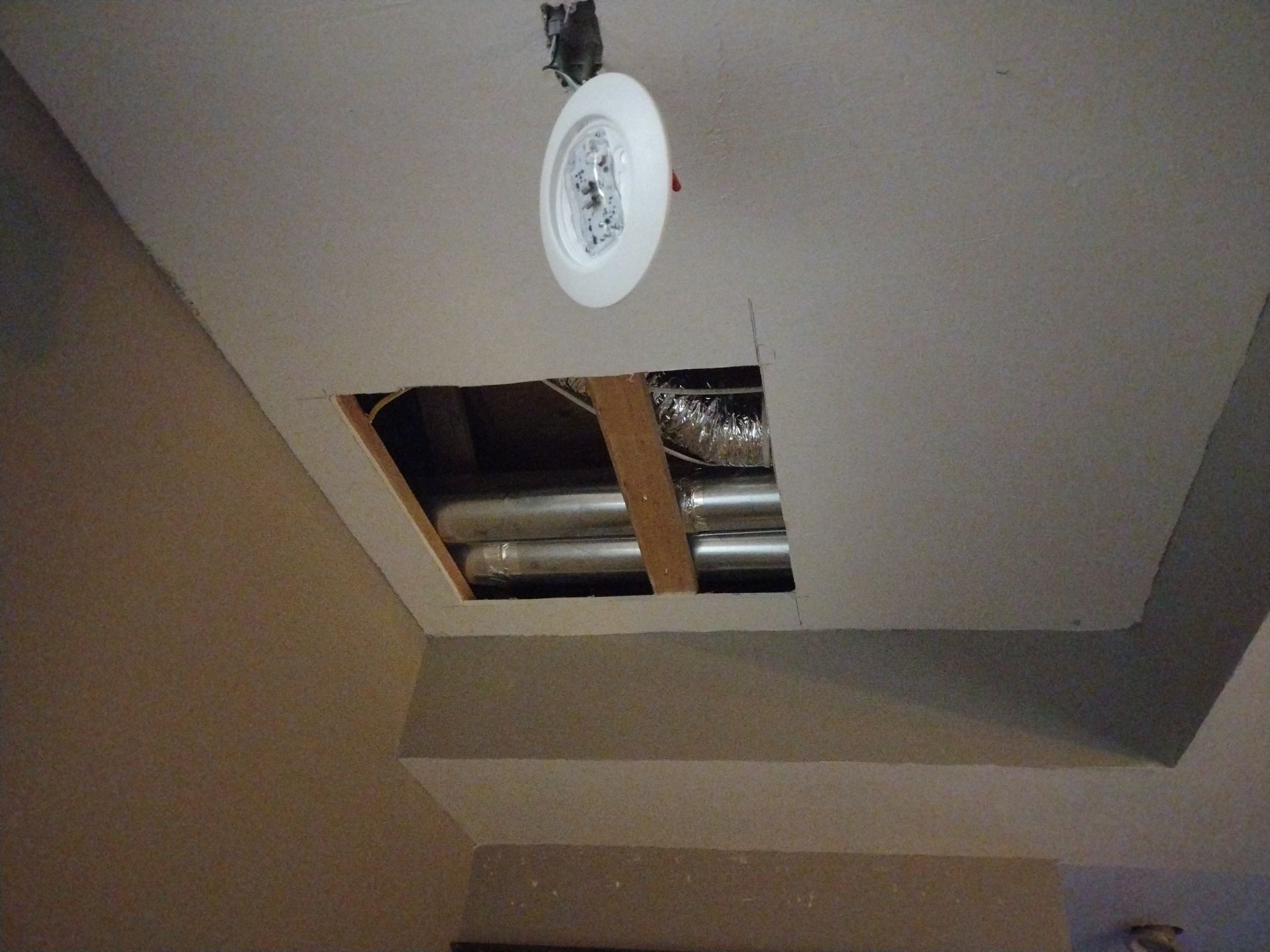 Puppy Room Conversion – Patio to Premium Pet Space by Johnny Five Construction 