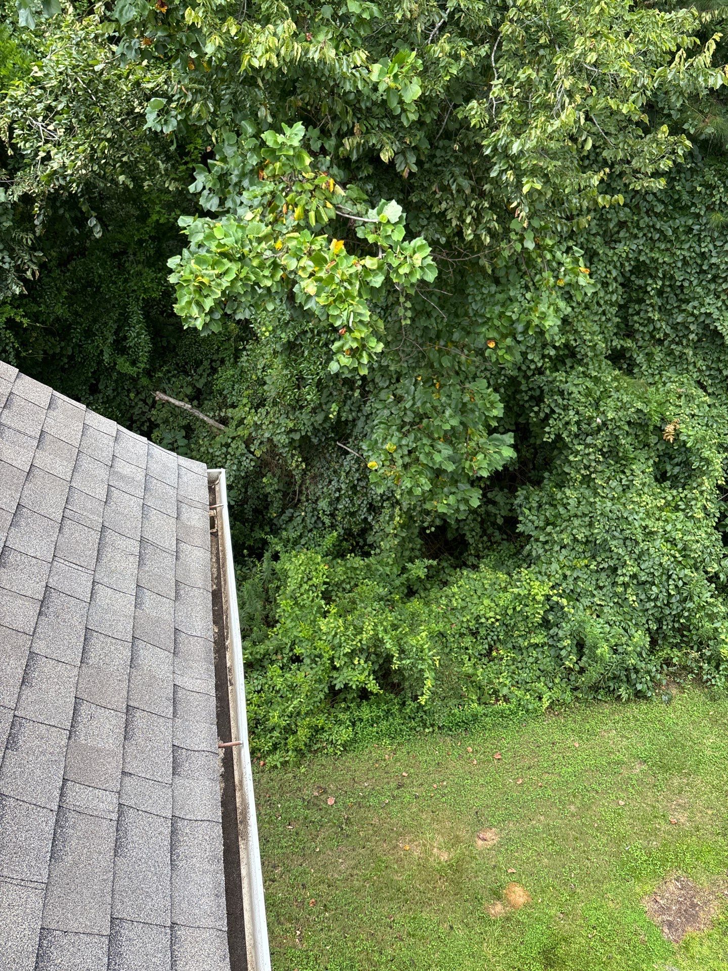 Commercial gutter cleaning Macon, GA after photo with clean gutters