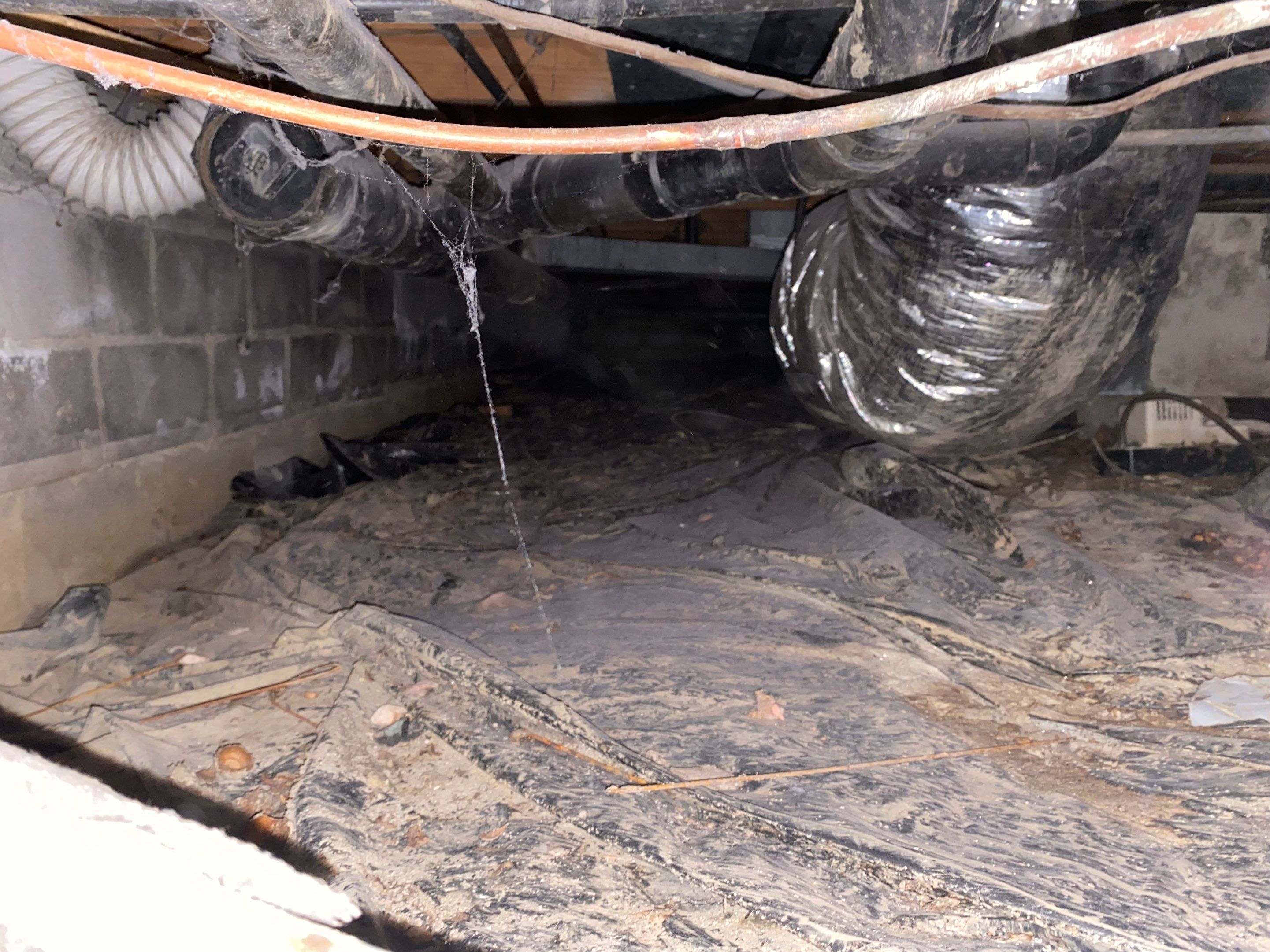 Ogle crawlspace by The Property Doctor, LLC