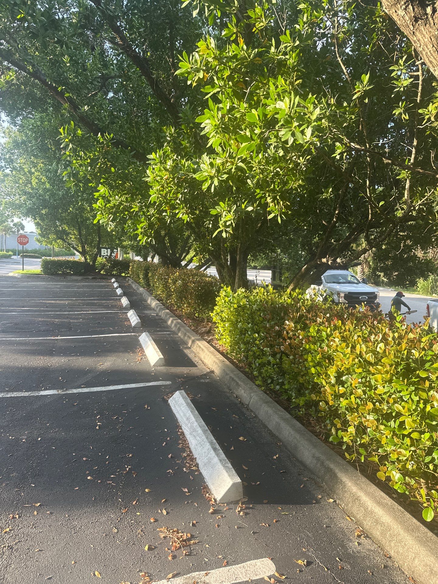 🛏️ City Mattress Refresh — Jensen Beach by Alpha Zeta Enterprises Inc