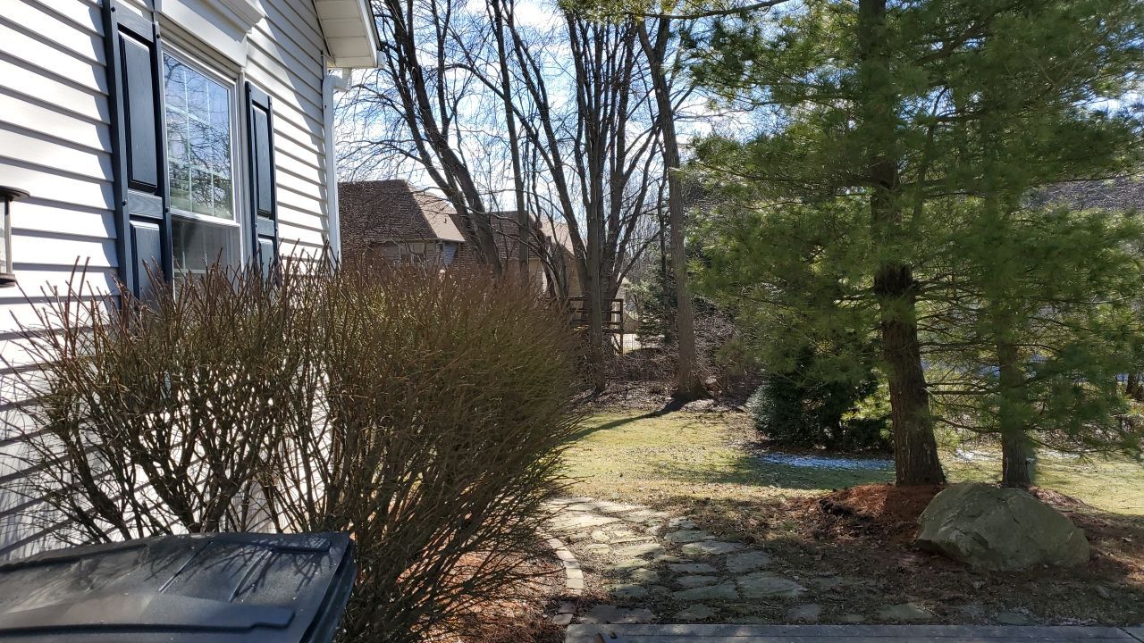 Tree Removal using Tree Removal by Mike Jones & Sons Tree Service LLC 