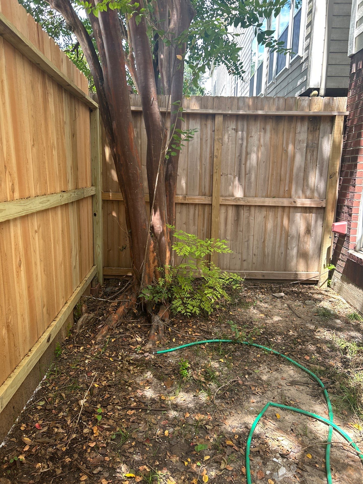 🌿✨ Project Spotlight: A Backyard Transformation for Mr. & Mrs. Parra by Texas Urban Elements