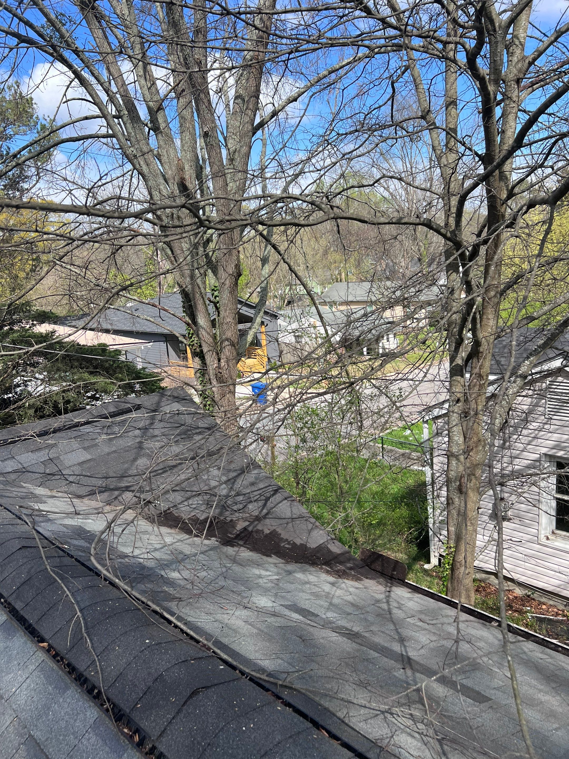 Gutter Cleaning using brown bags by Roof Bullies