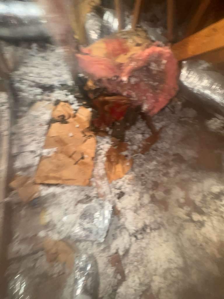 Project in Newport Beach by Advanced Attic Solutions