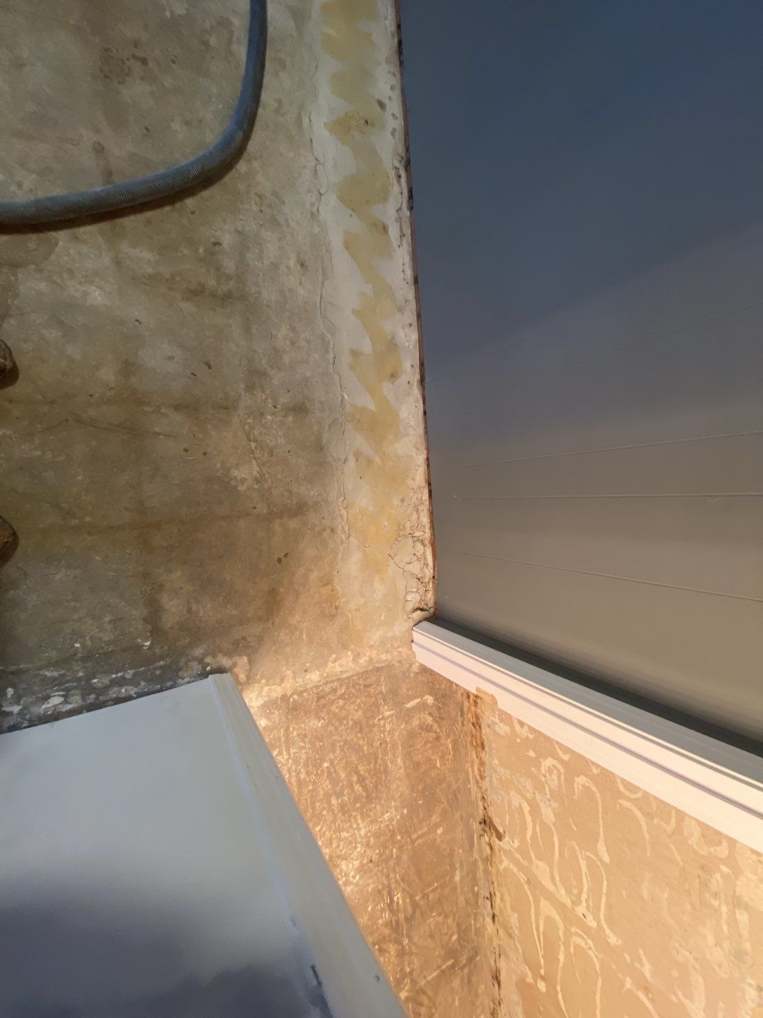 Basement using Silver Creek by Select Painting, Coatings & Garage Cabinets