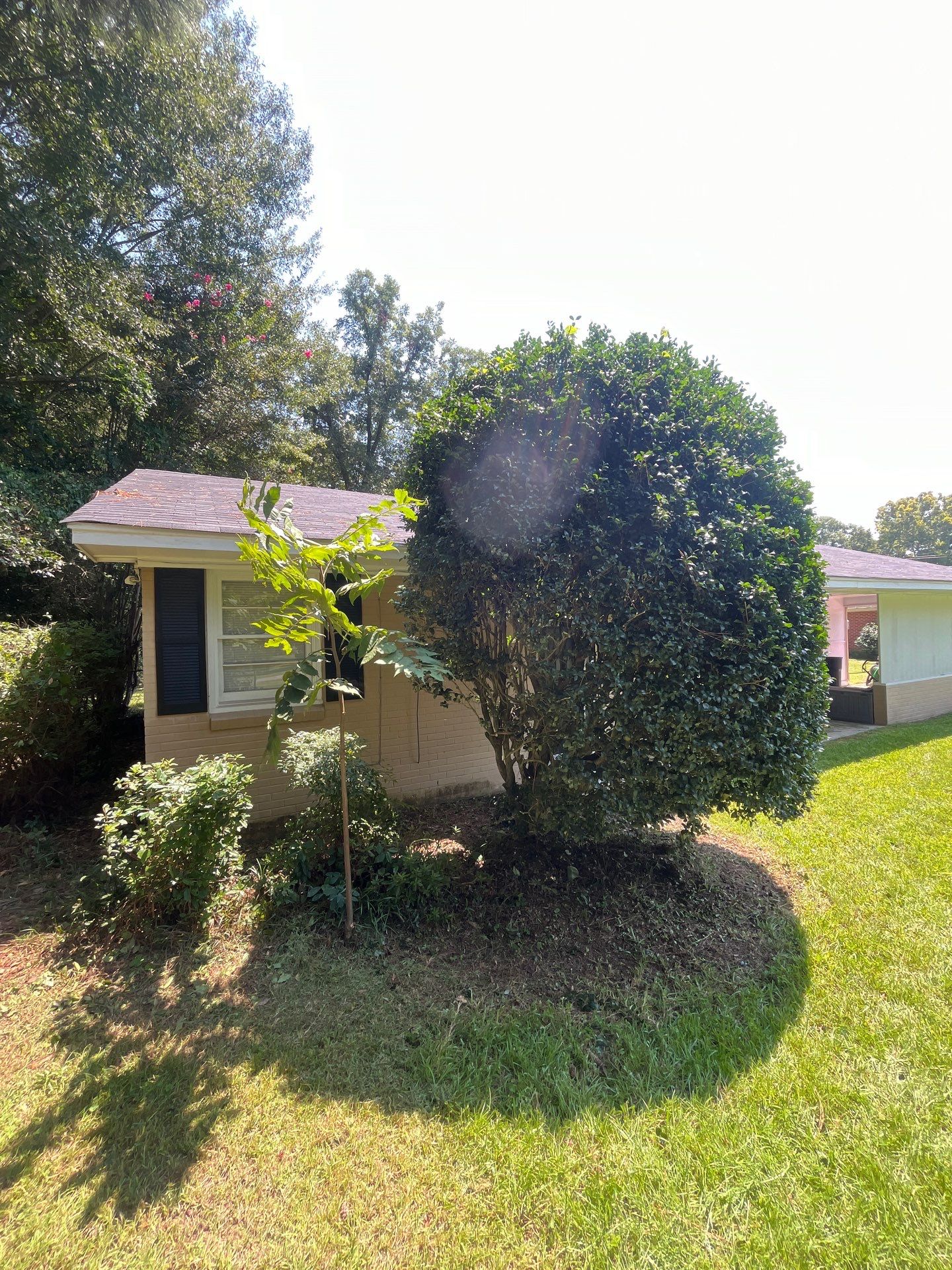 Yard Makeover by College Bros Outdoor services