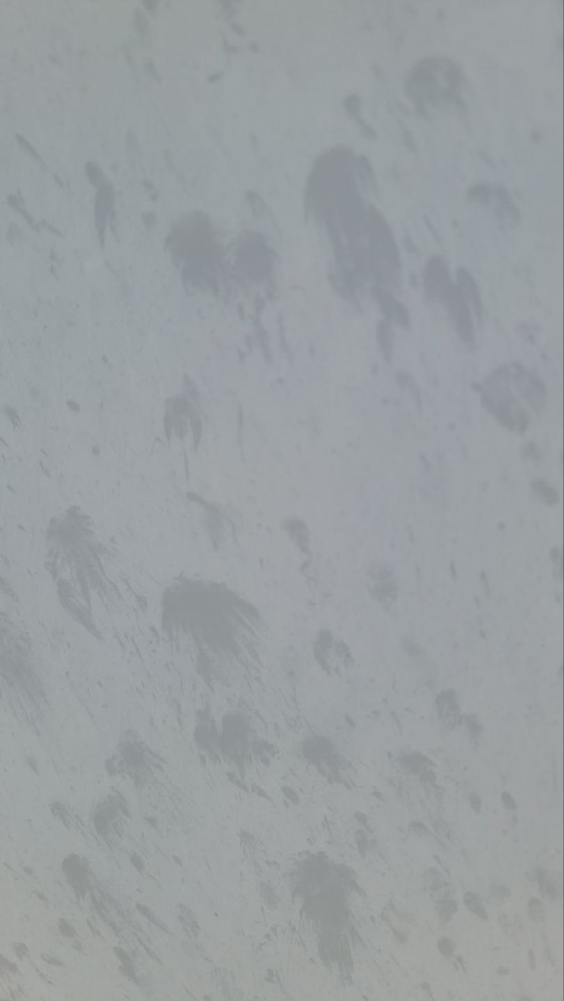 Commercial Roof Replacement – PBR Metal Panels After Hail Damage by ASAP Roofing & Restoration