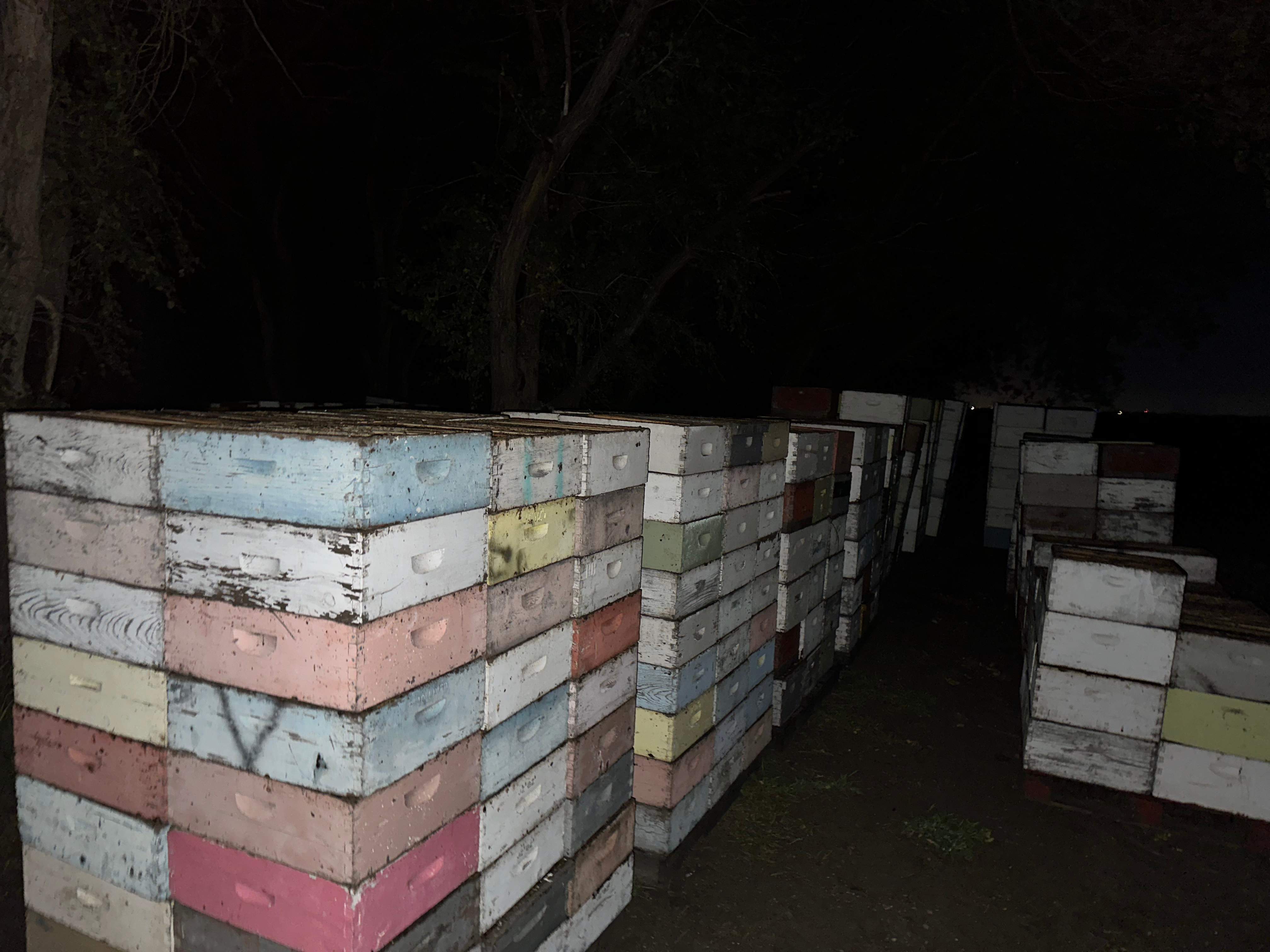 BeeGirl's Honey House in the Midwest by Rockwall Honey Bee Company