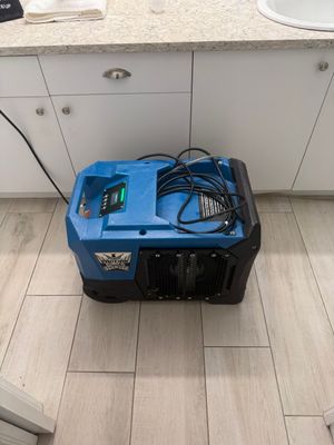 Wet Carpet Drying — Cape Coral, FL