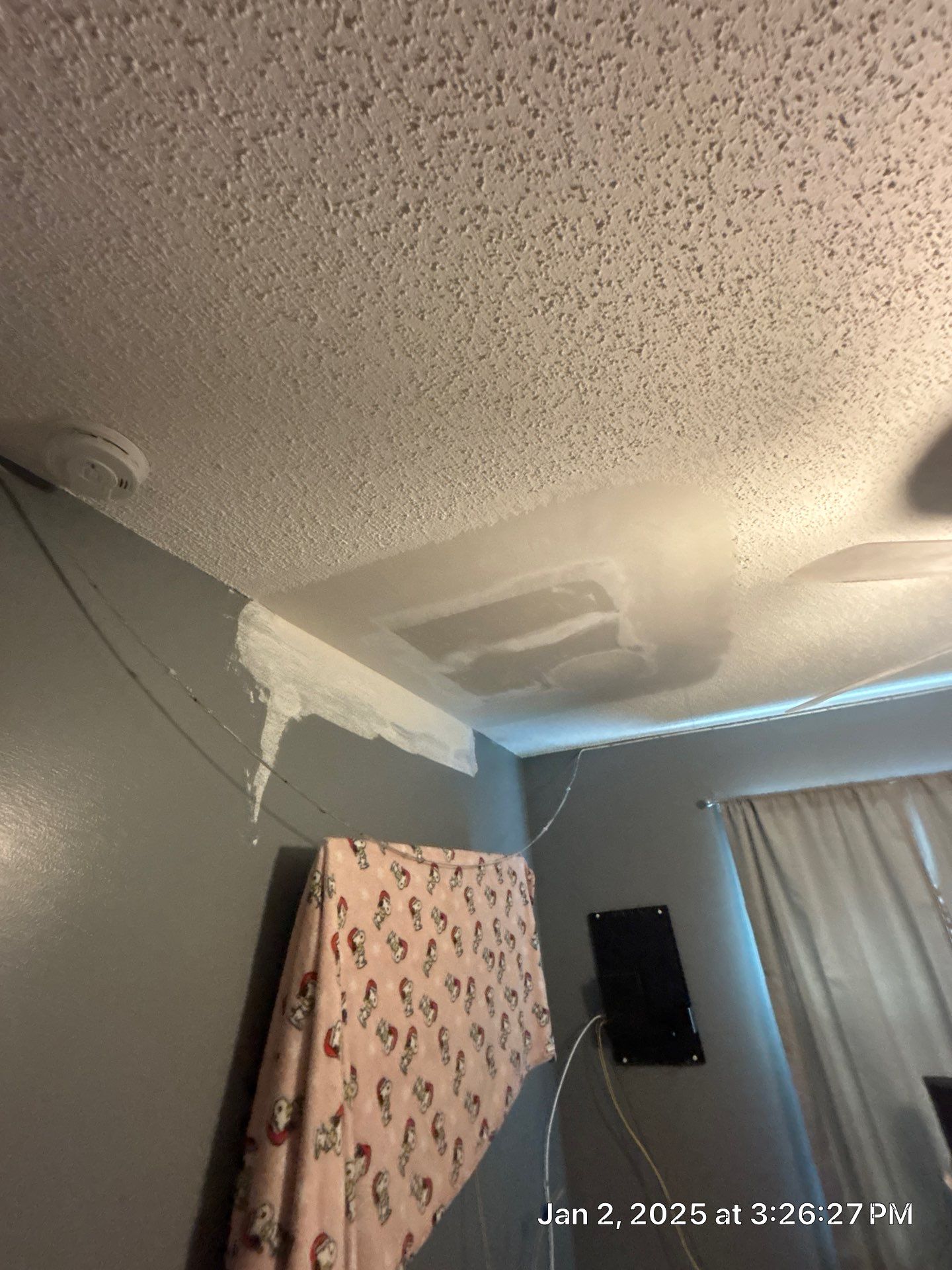 Pebble Springs Water Mold by Ampm Restoration Services