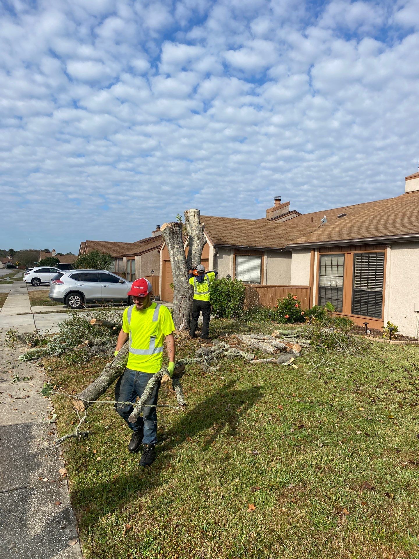 Residential | Tree Removal & Trimming by ProGreen Services