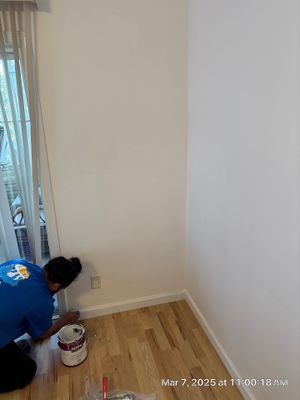 Mold Remediation Sarasota