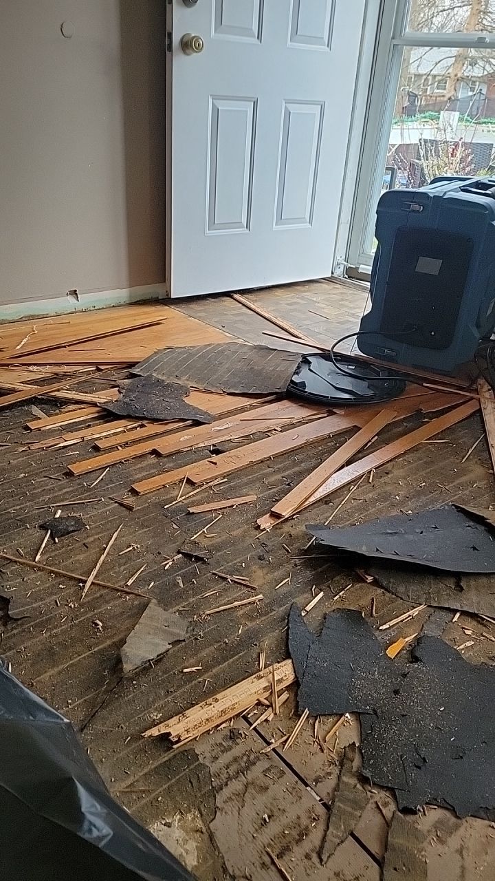 Toilet Overflow by Chicagoland Water Medics