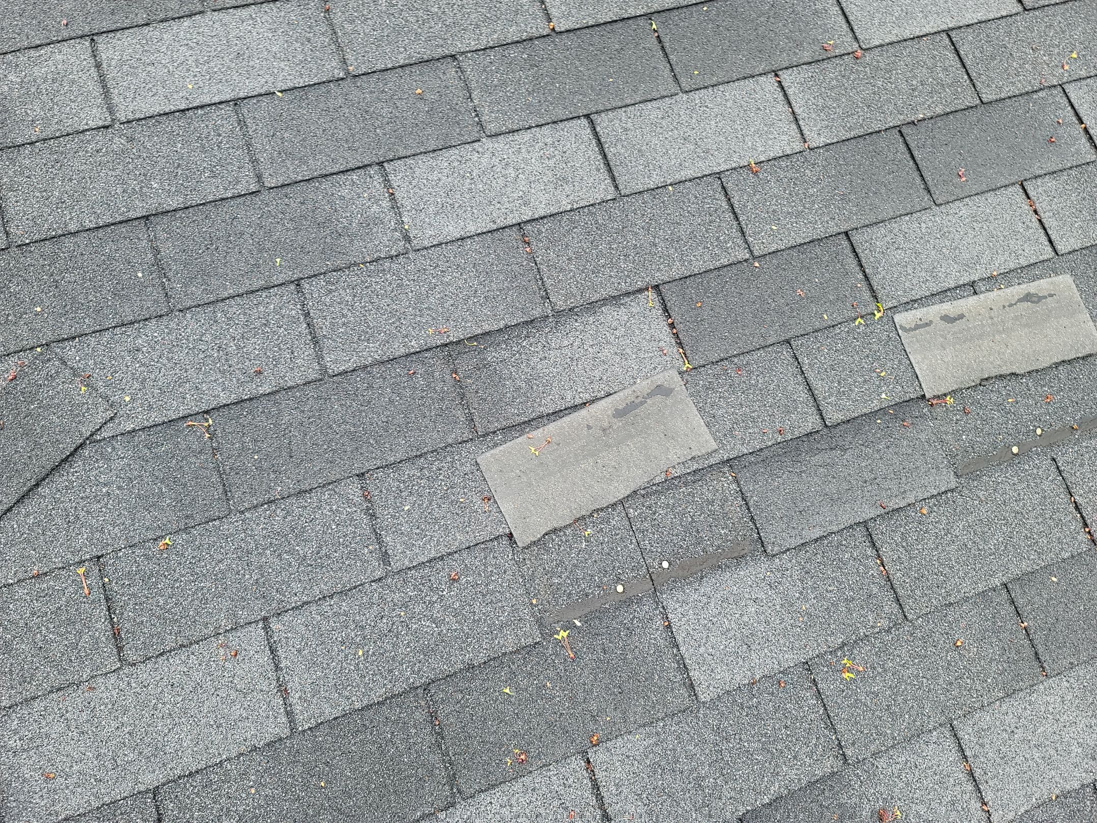 Atlas Pinnacle, Color: Pewter, Drip Edge: White by Eagle Eye Roofing