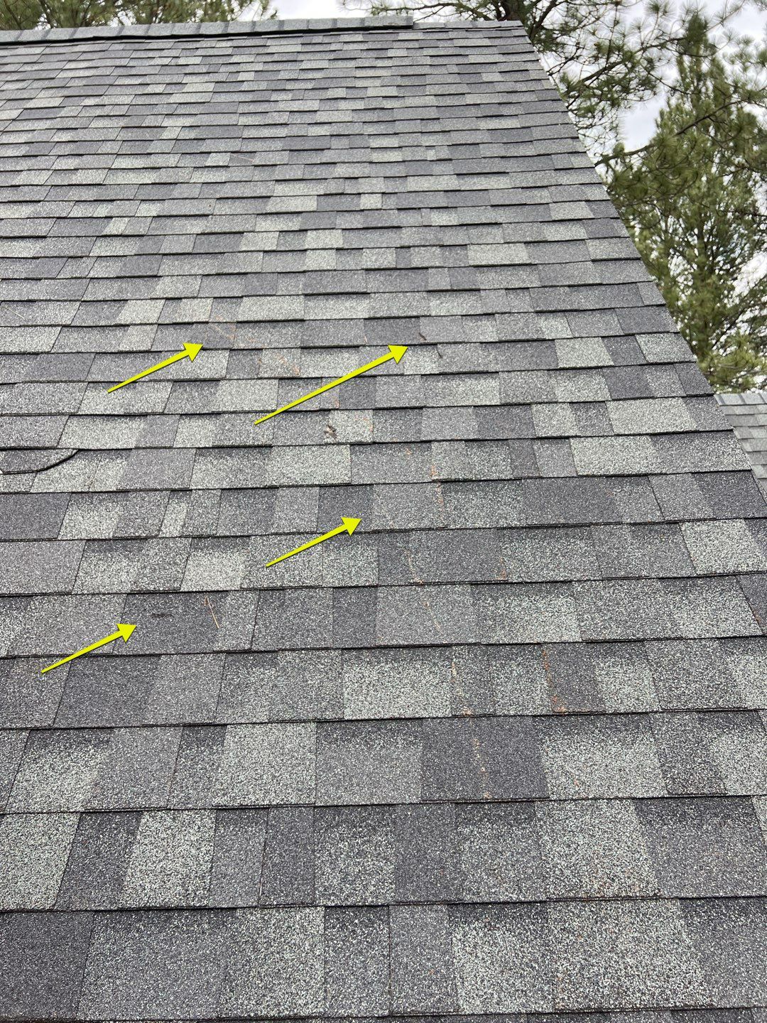 Green Snap Lock Standing Seam  by Montana Roofing Solutions