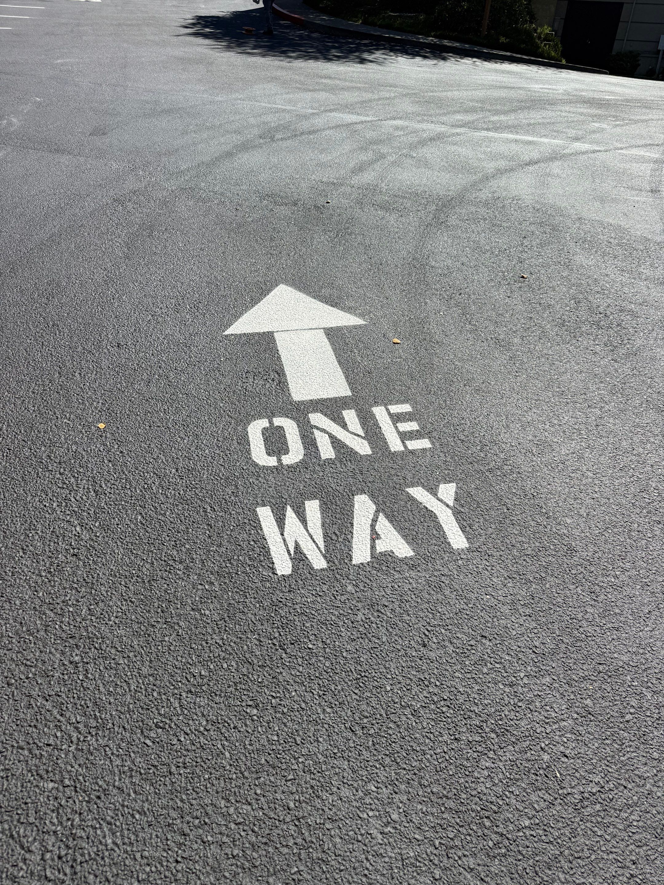 Our Savior's Lutheran Church | Everett   by Jireh Asphalt & Concrete Inc 