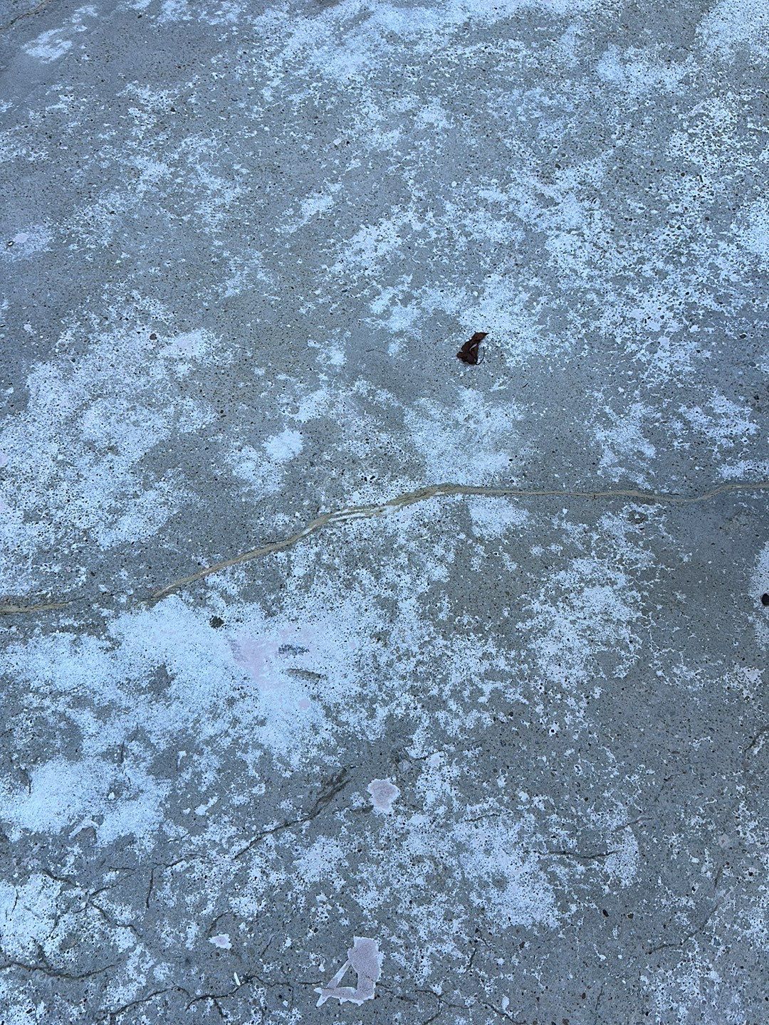 Patio Project in Upper Saint Clair by Floors in a Day, Inc