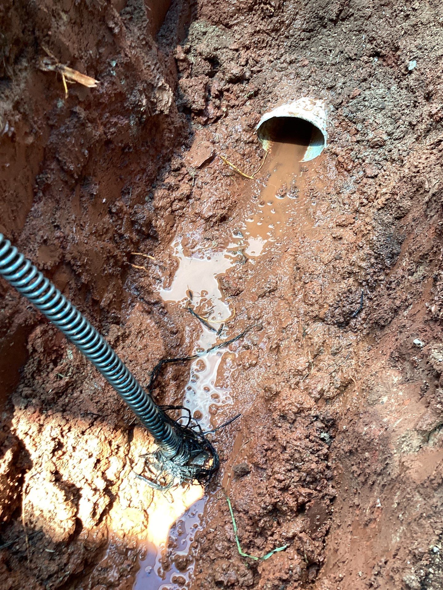 Project in Moore by PRO-ROOTER