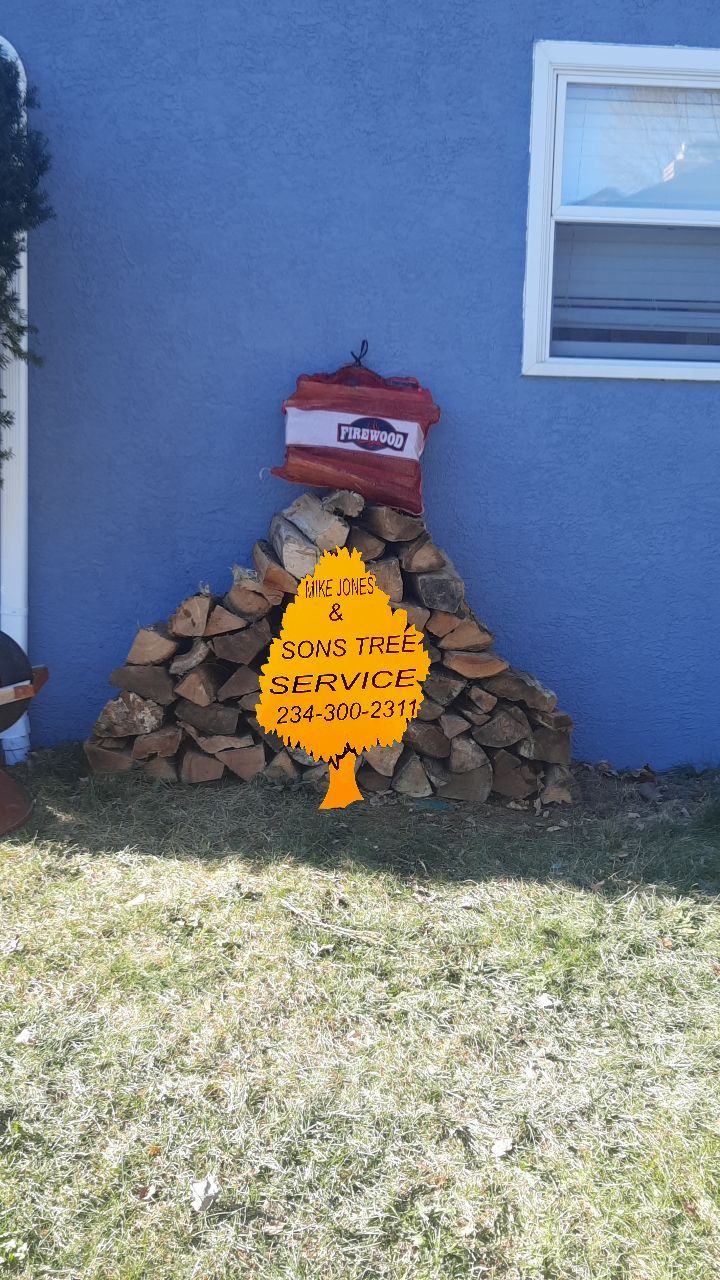 Firewood Delivery  using Seasoned Firewood by Mike Jones & Sons Tree Service LLC 