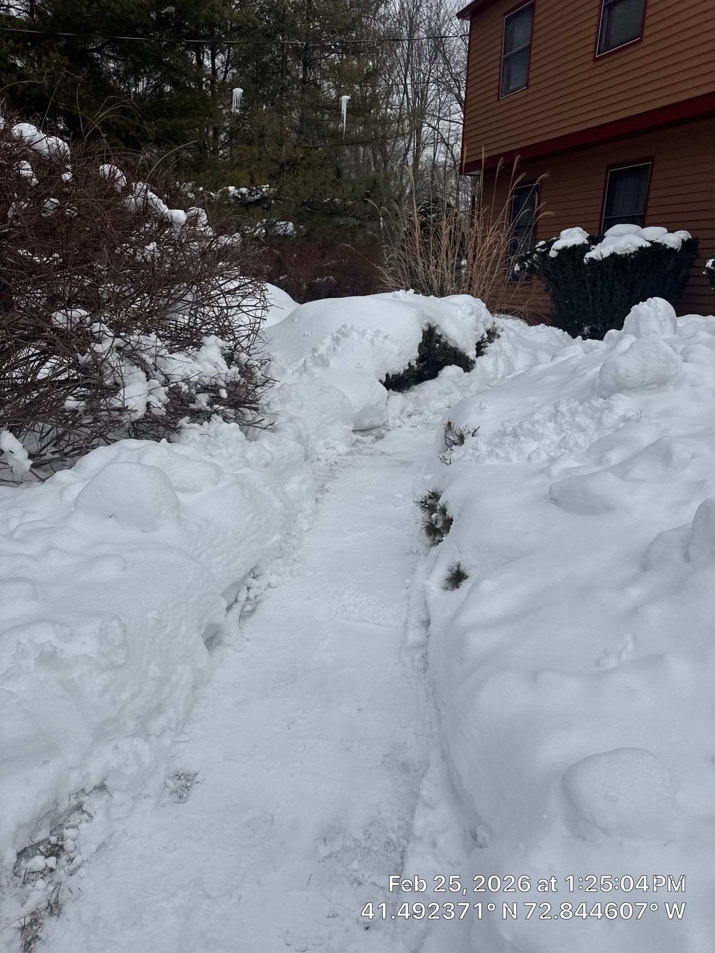 Residential Snow Plowing and Removal Services in Wallingford by Diamond Image LLC